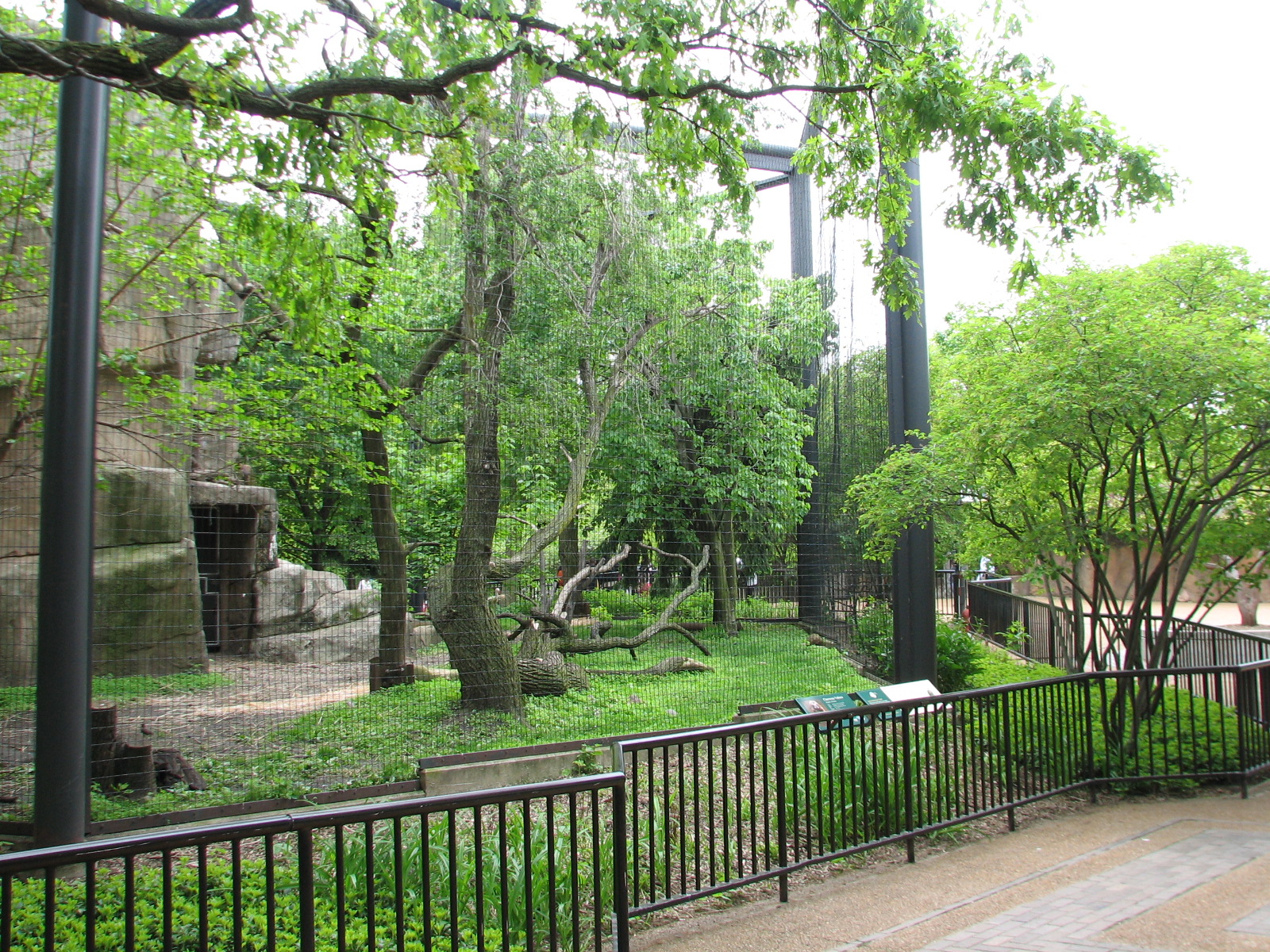 Birds of Prey - Cinereous Vulture and White Stork Exhibit