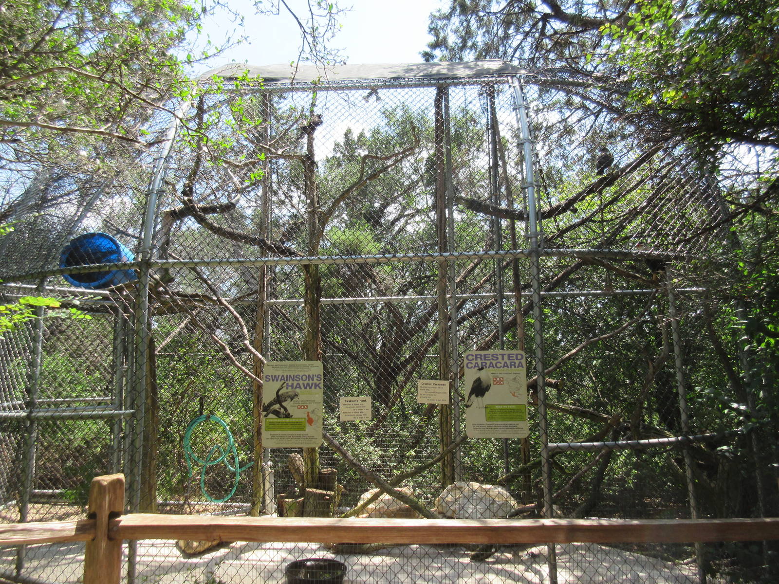 Birds of Prey - Crested Caracara/Swainson's Hawk Exhibit