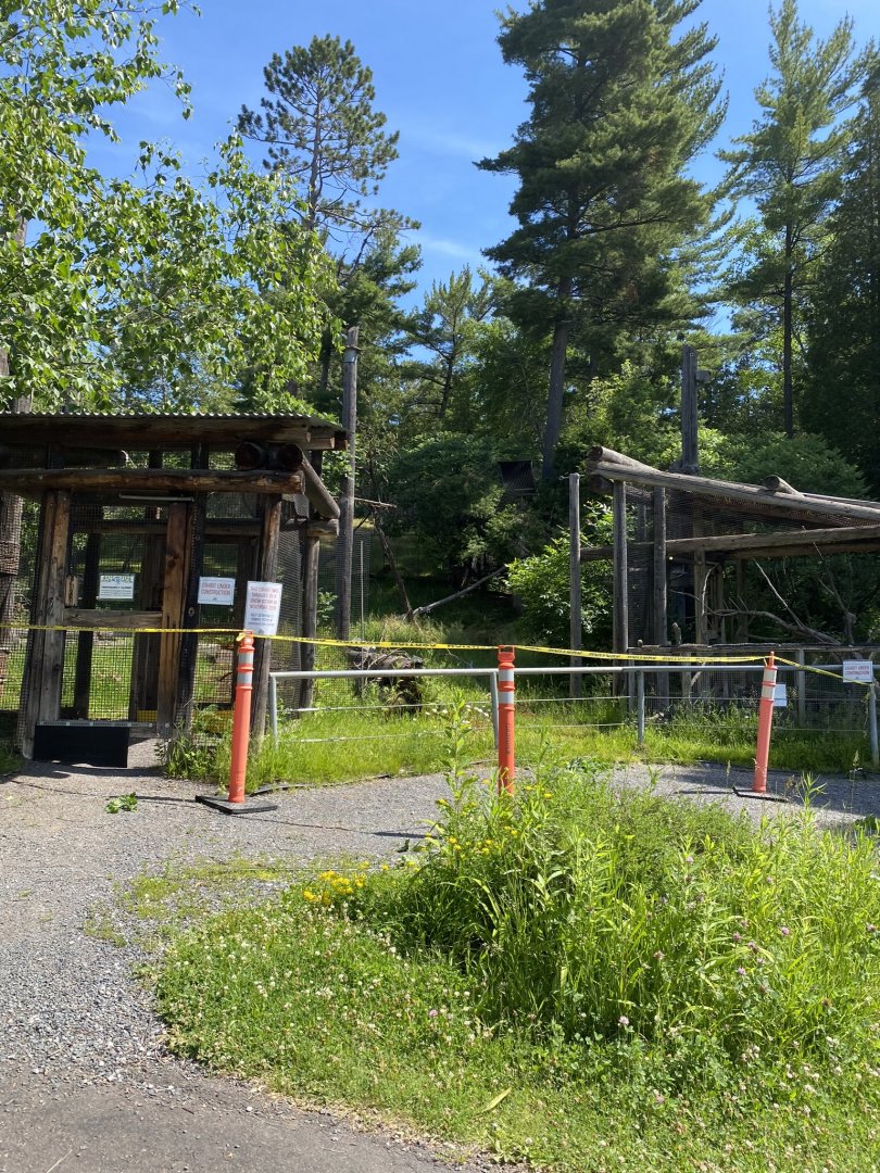 Birds of prey damaged bald eagle and Great horned owl exhibits