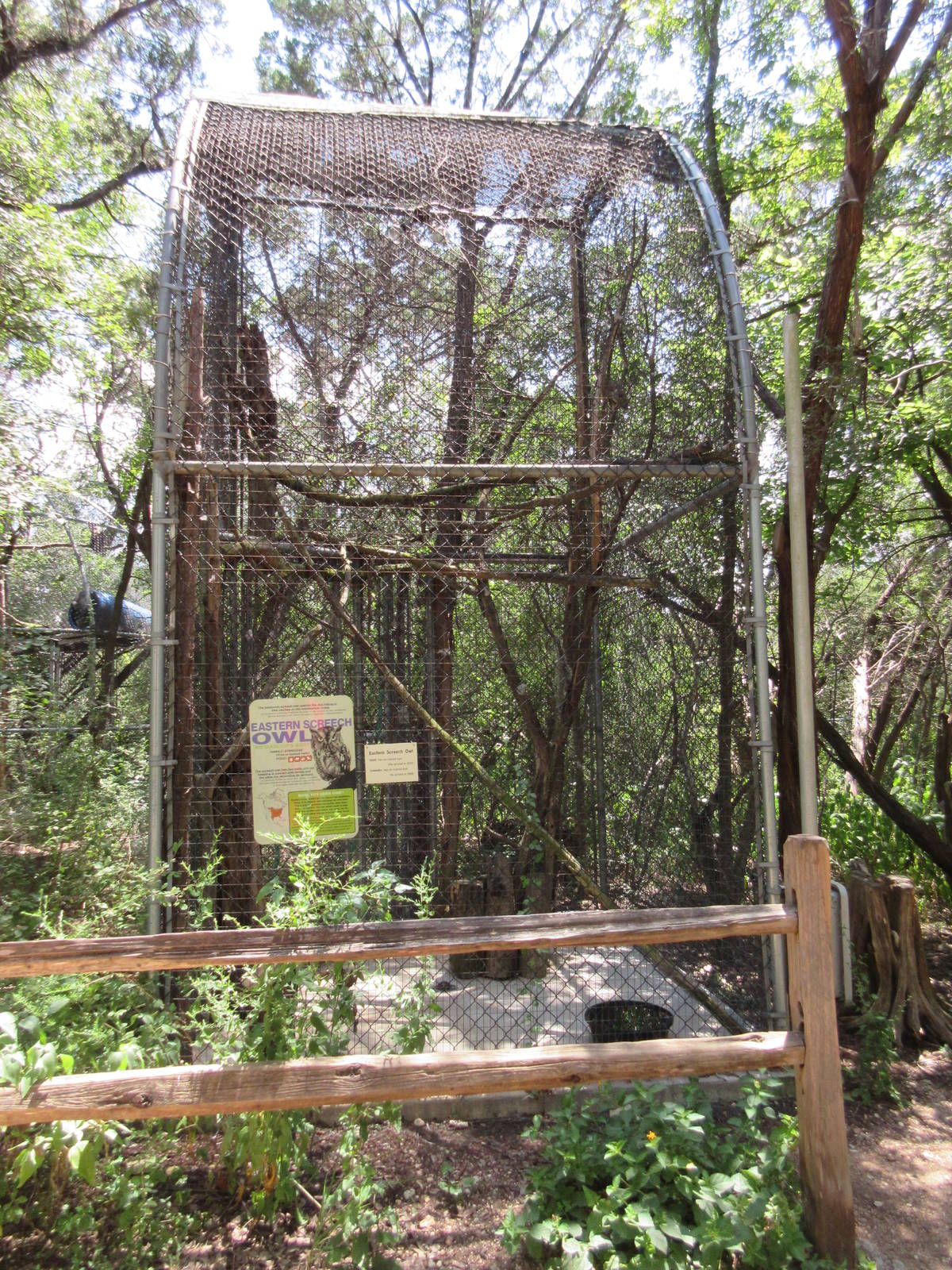 Birds of Prey - Eastern Screeched Owl Exhibit