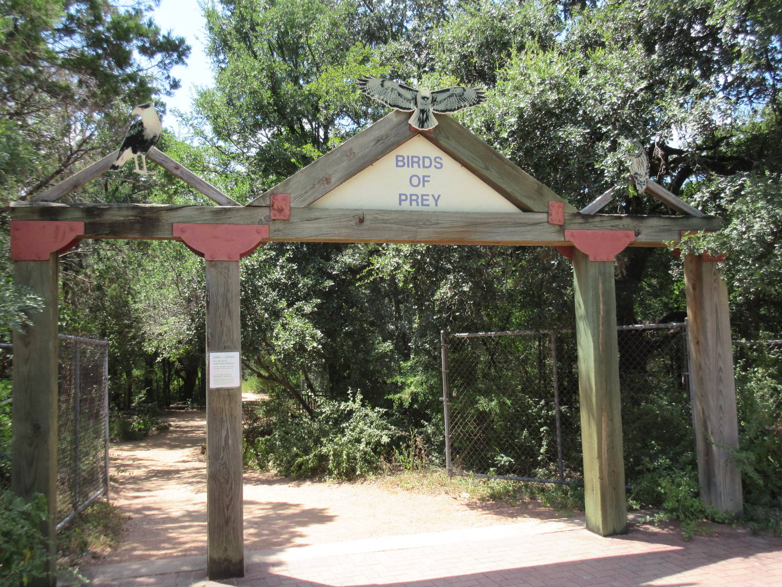 Birds of Prey - Entrance Area