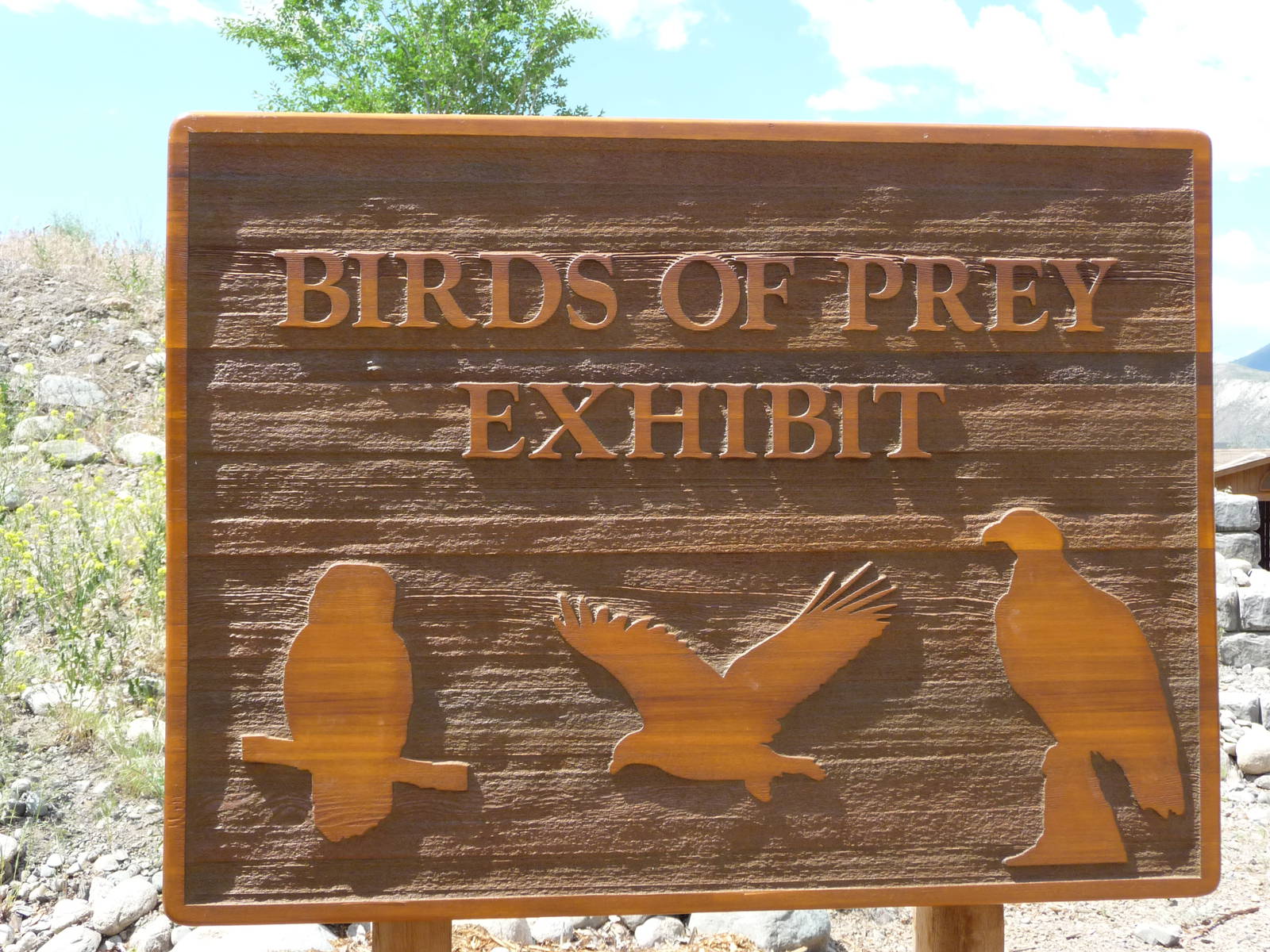 Birds Of Prey - Entrance Sign