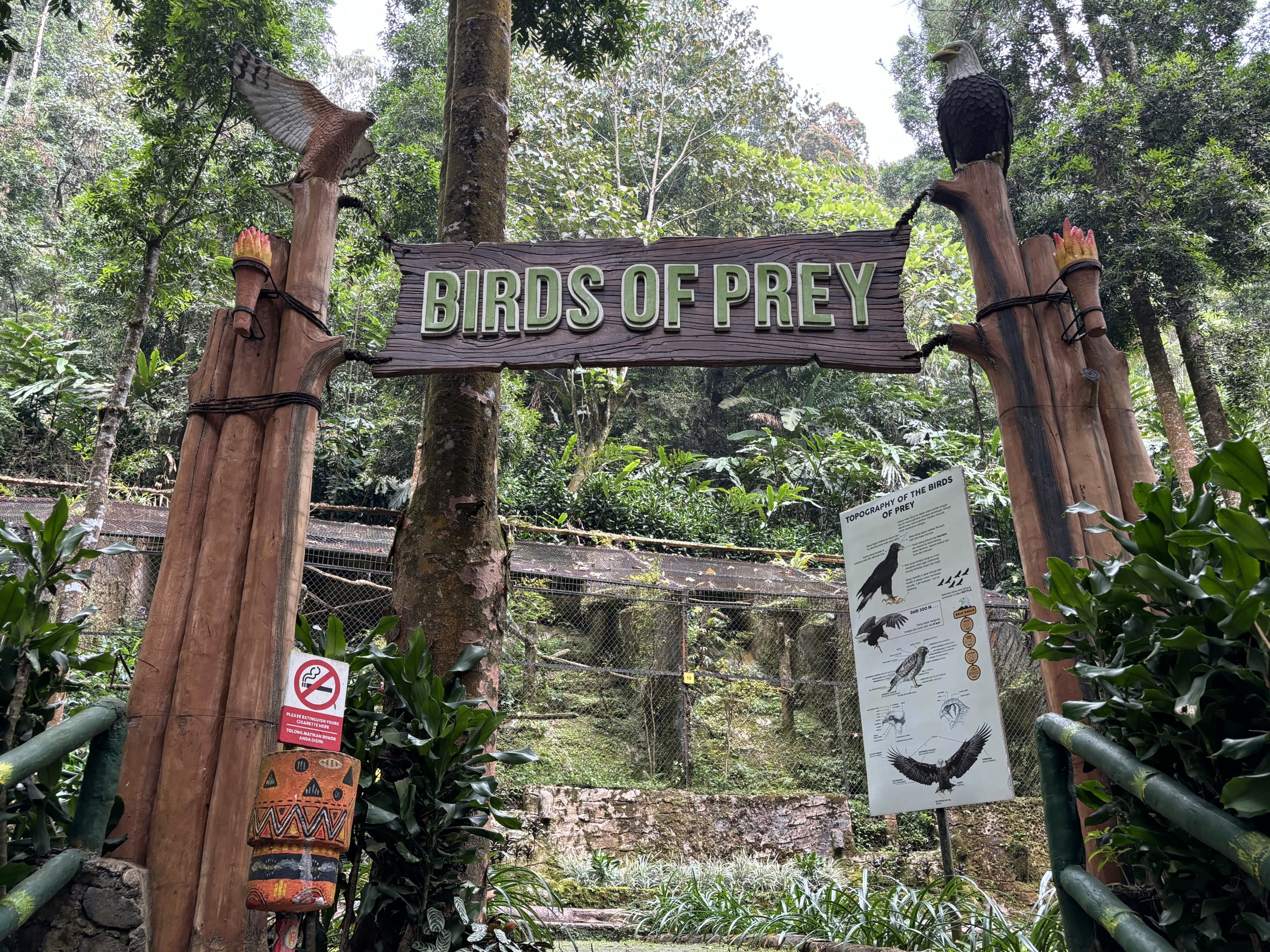 Birds of Prey Entrance