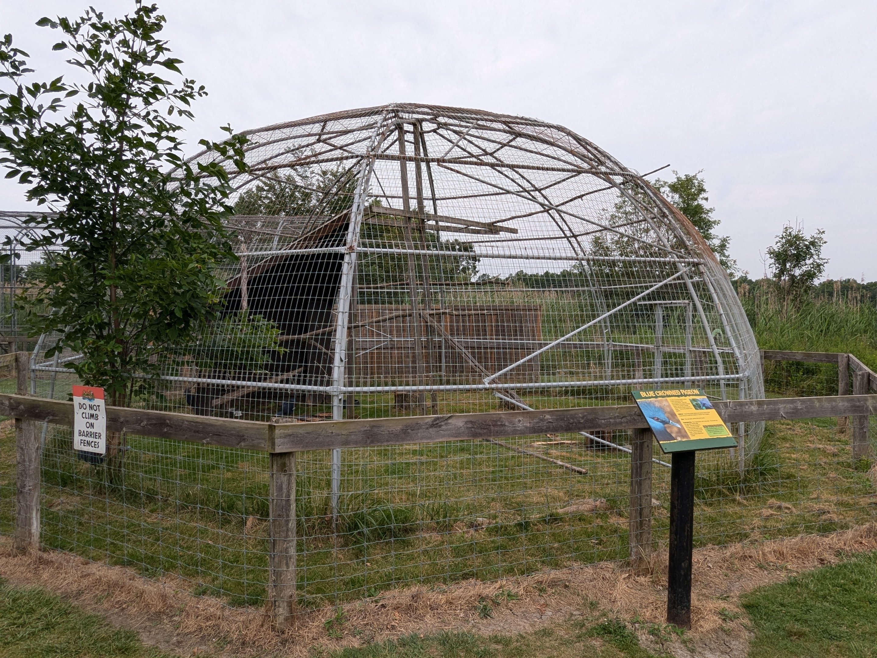 Birds of Prey - Eurasian Eagle Owl