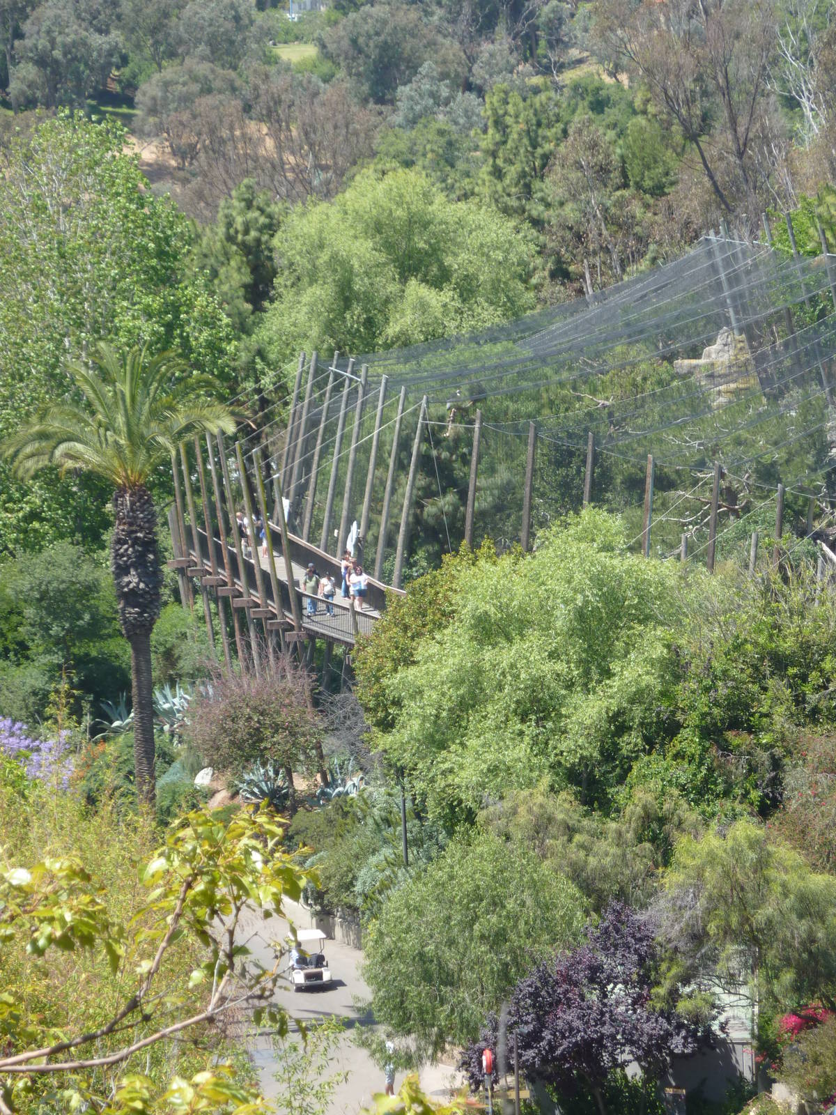 Birds of Prey Exhibits