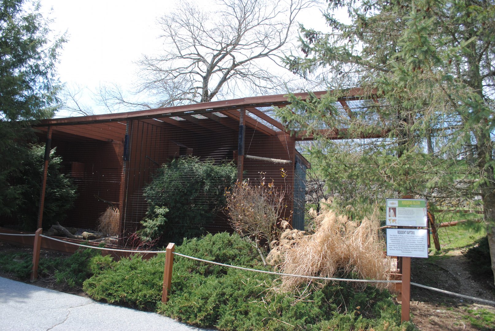 Birds of Prey Exhibits