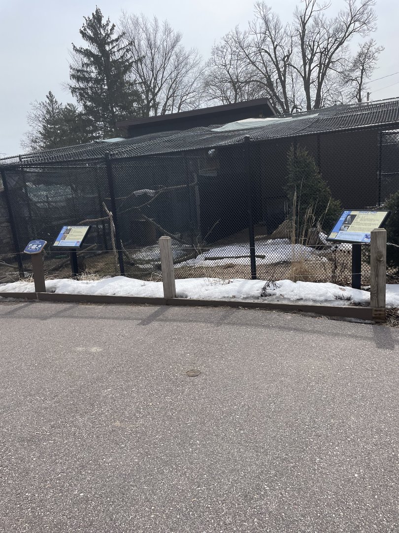 Birds-of-Prey Exhibits