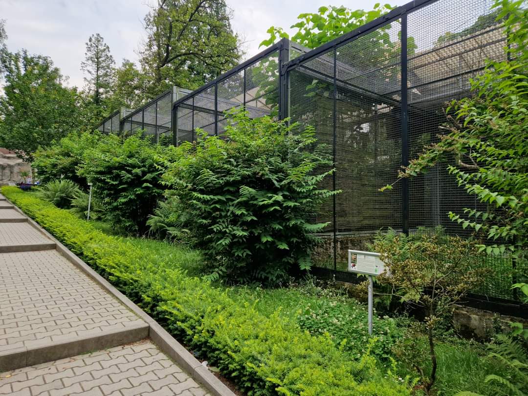 Birds of prey exhibits