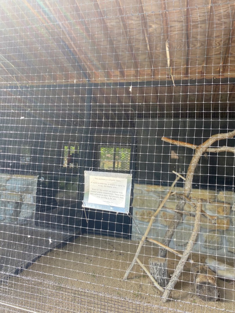 Birds of prey- former turkey vulture exhibit