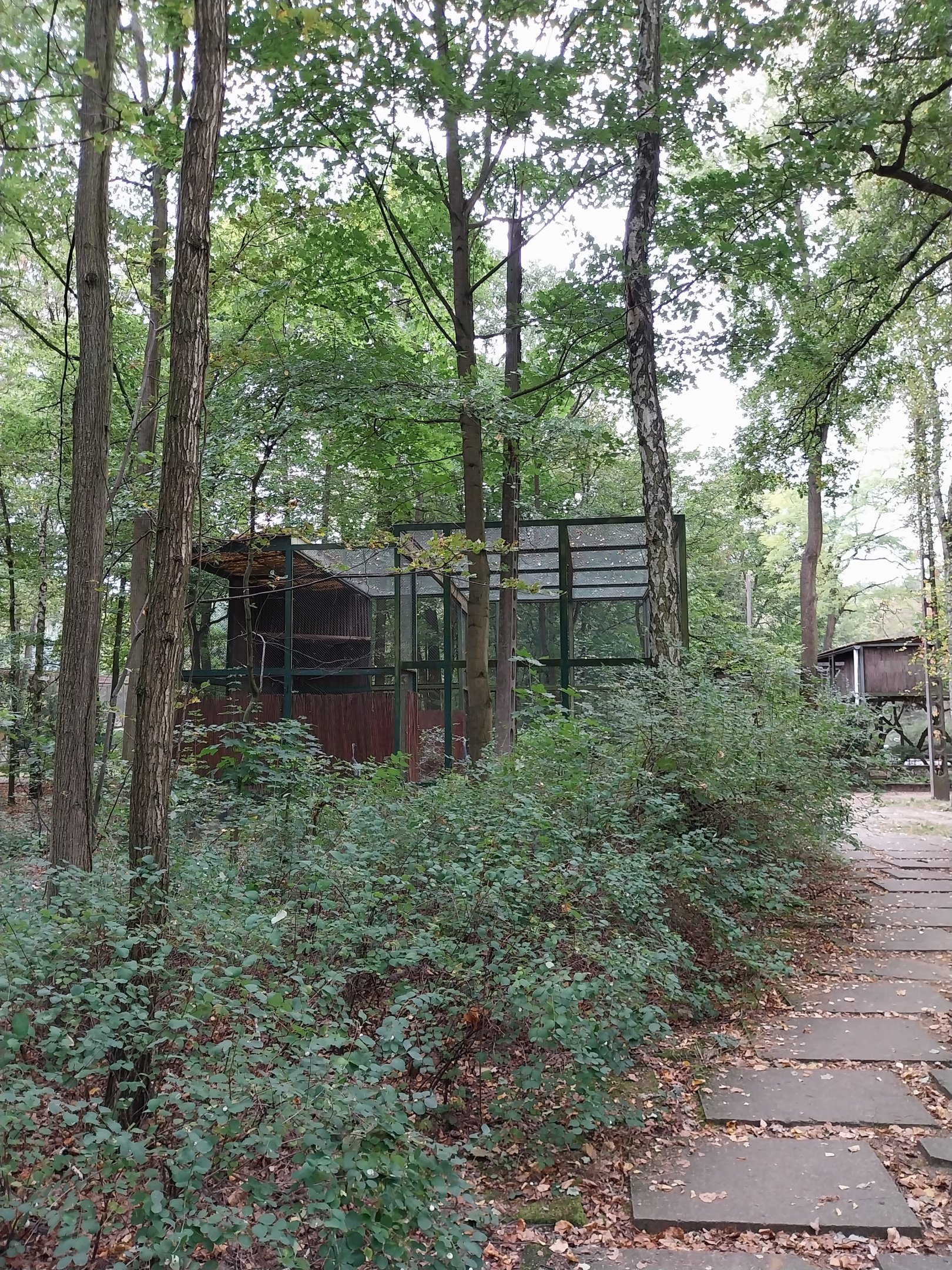 Birds of Prey - general view