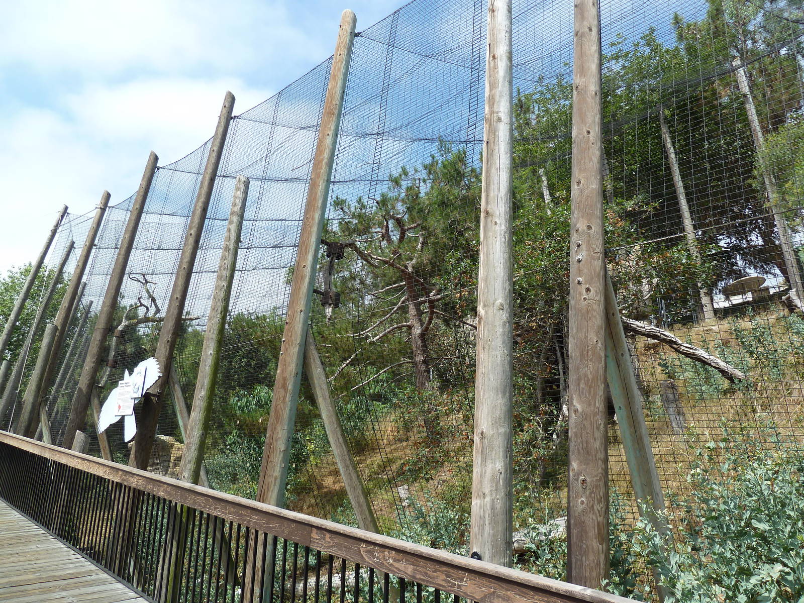 Birds Of Prey - Harpy Eagle Aviary