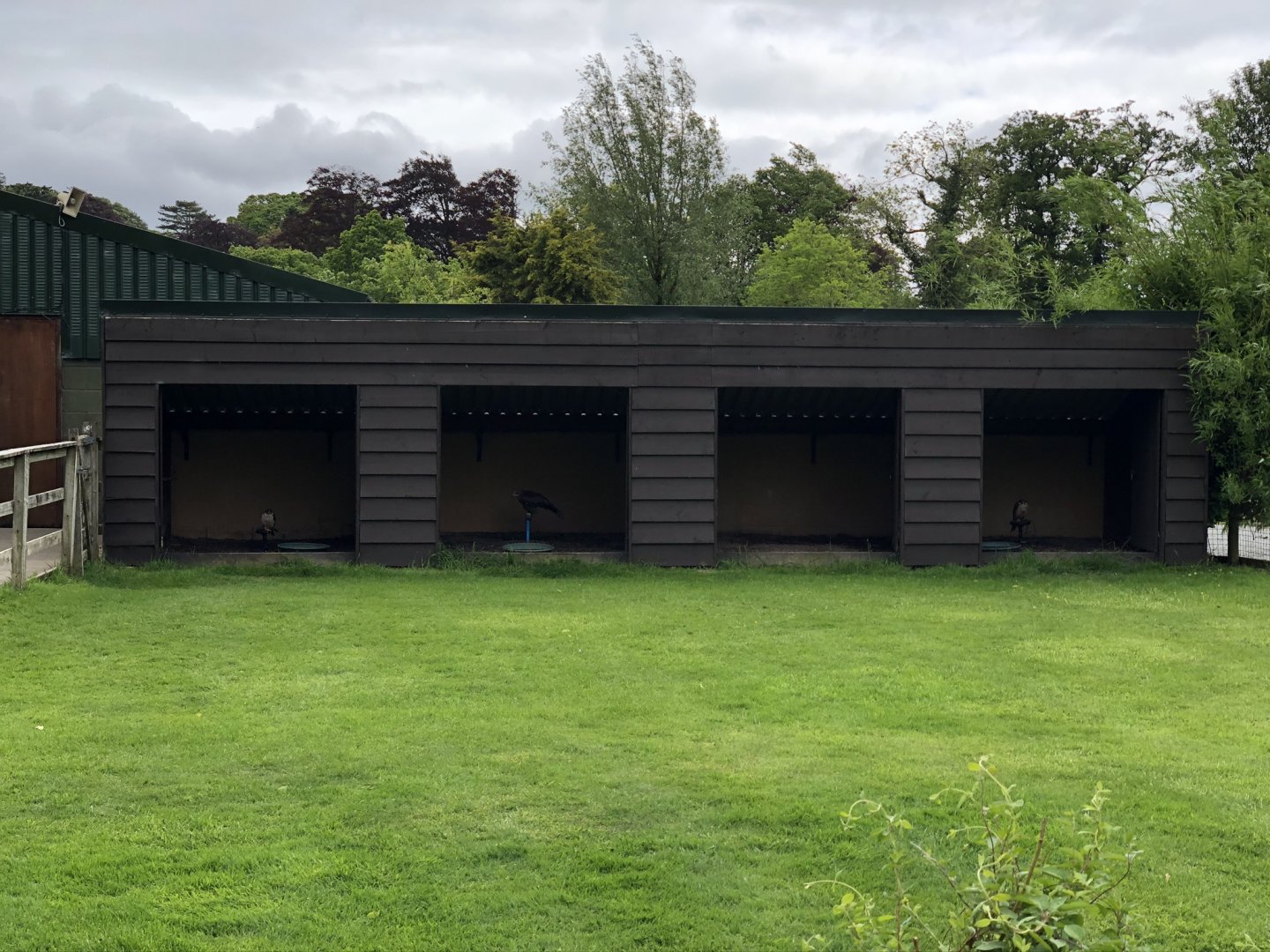 Birds of Prey Mews at Lake District Wildlife Park (May 2019)