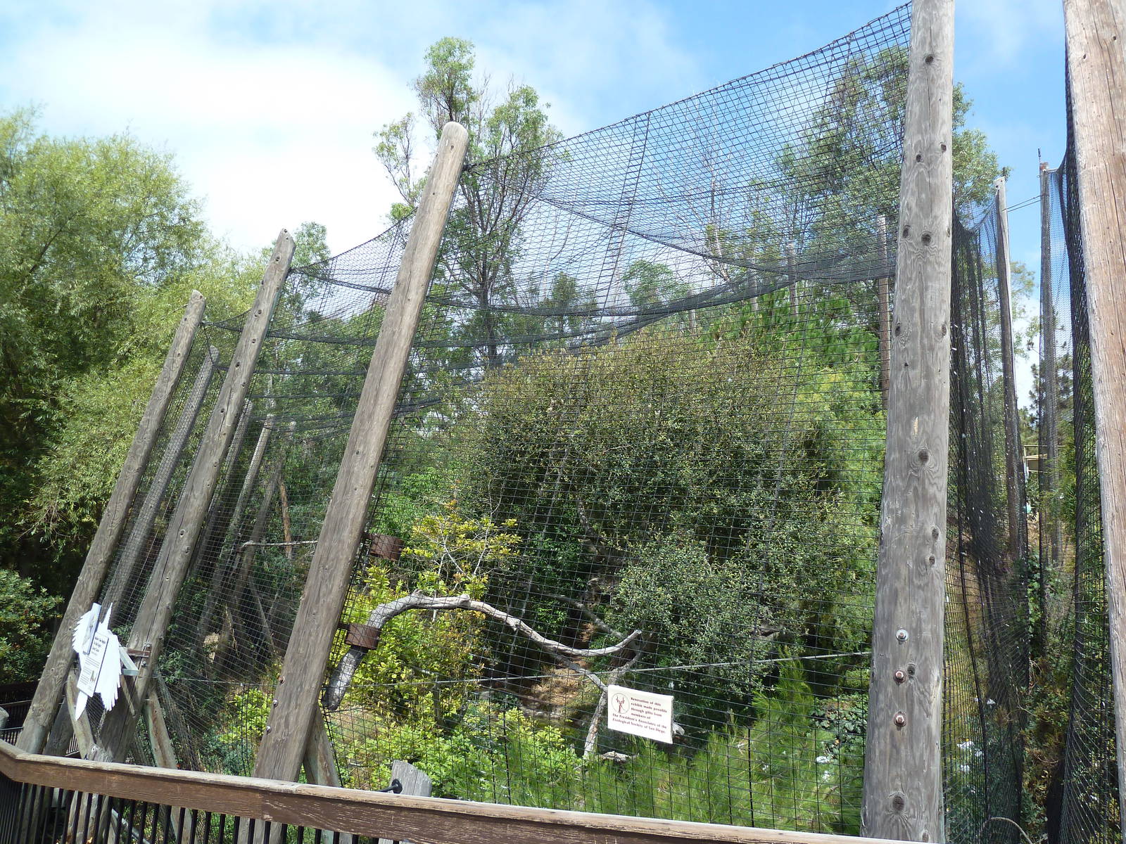Birds Of Prey - Ornate Hawk-Eagle Aviary