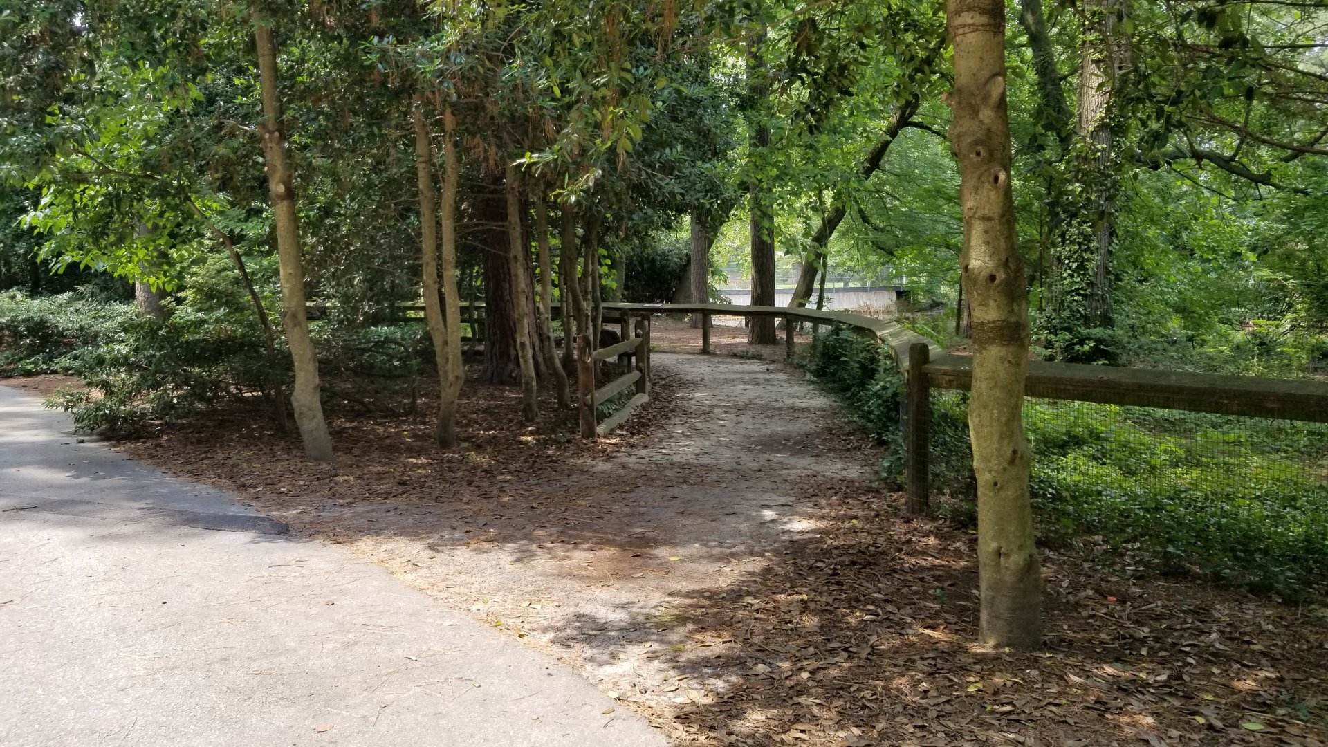 Birds of prey path