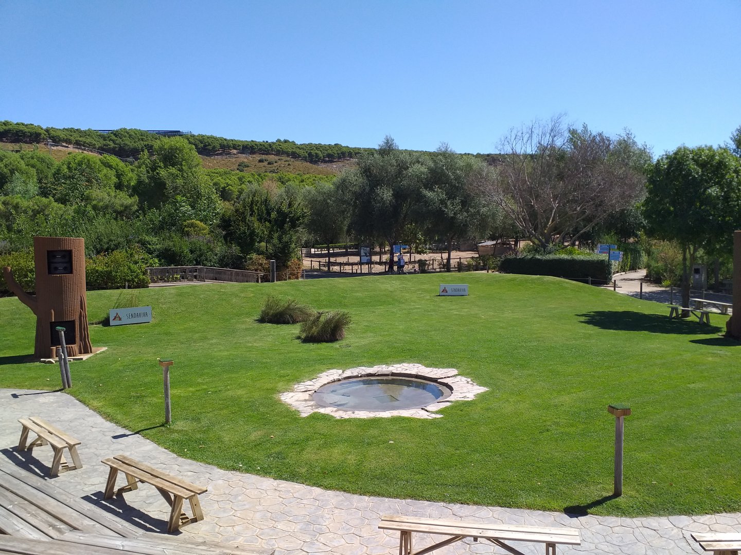 Birds of prey show arena -Sendaviva (2020)