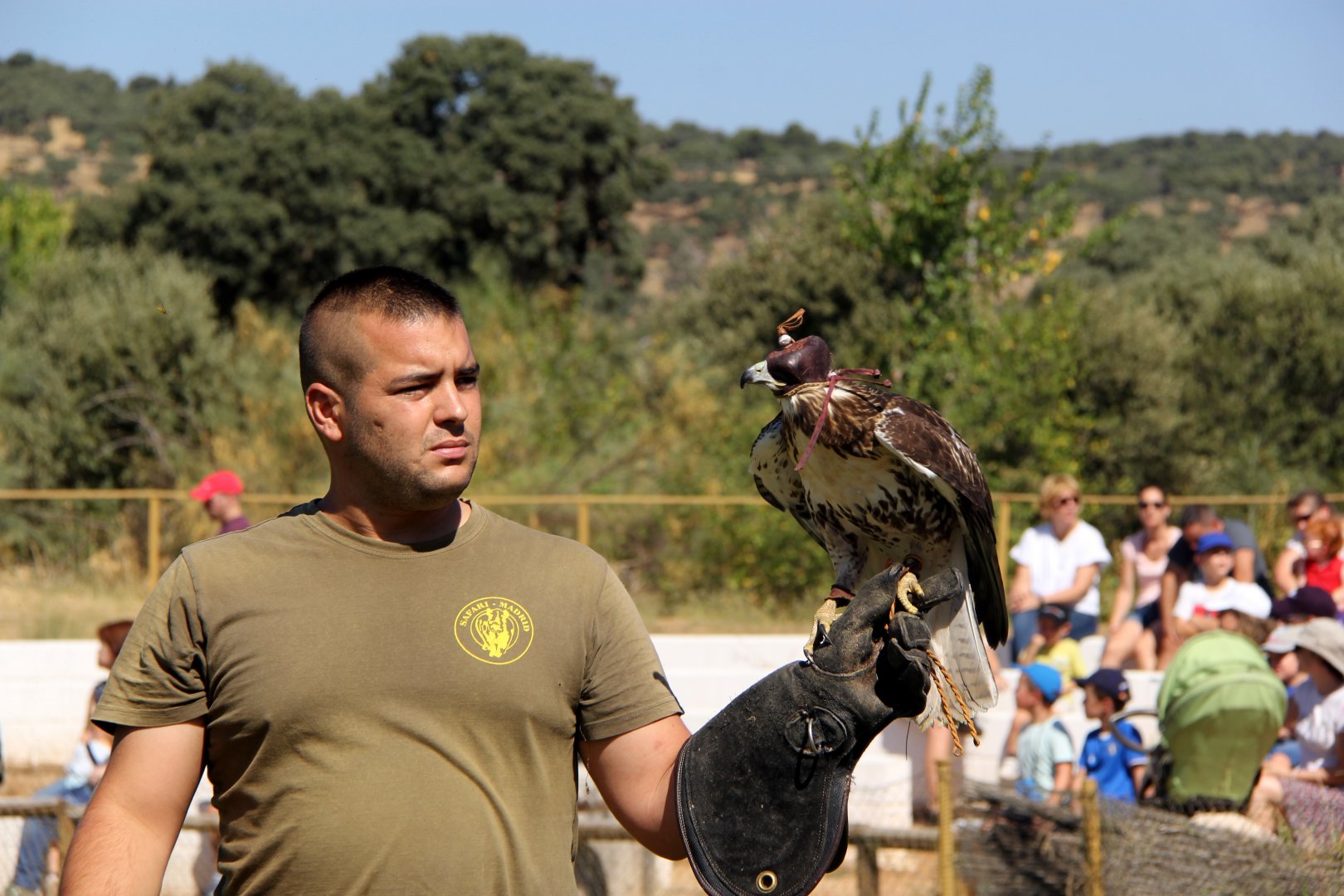 Birds of Prey show