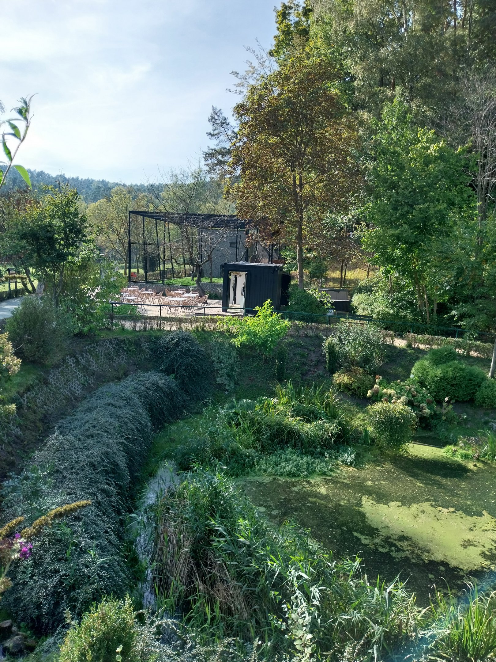 Birds of Prey - Southern Ground Horbill (Bucorvus leadbeateri) and cafeteria