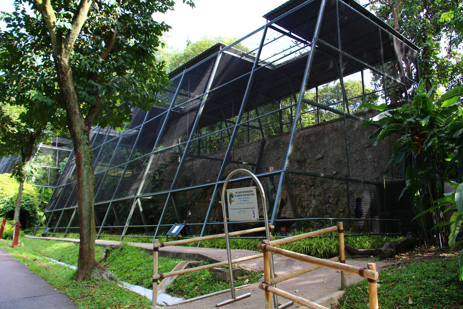 Birds of Prey - upcoming Andean Condor aviary