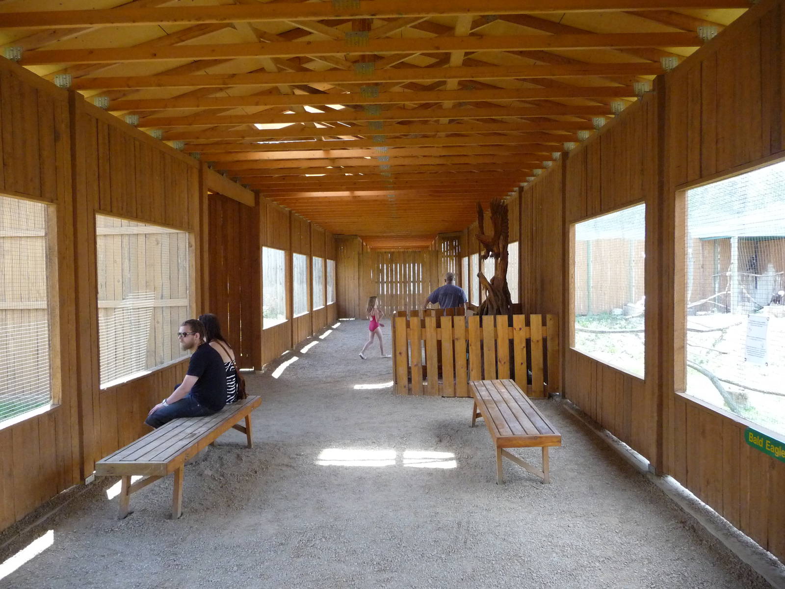 Birds Of Prey - Visitor Area