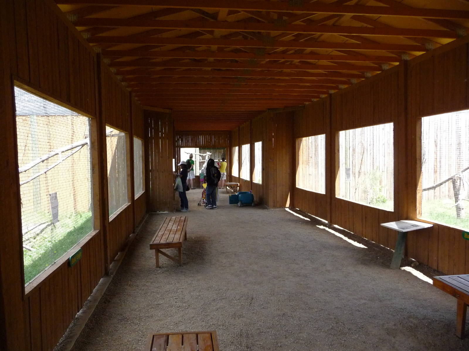 Birds Of Prey - Visitor Area