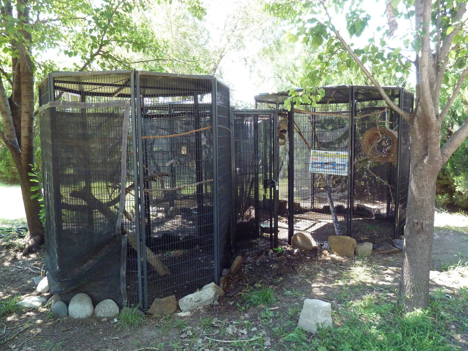 Birds of the Amazon Cages