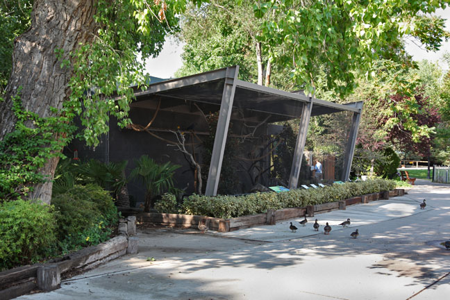 Birds of the Americas