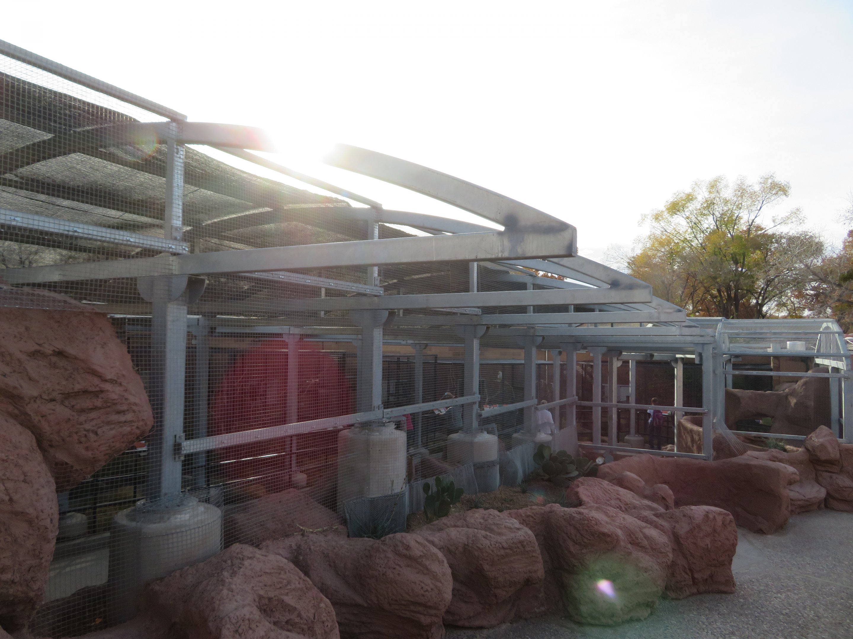 Birds of the Islands