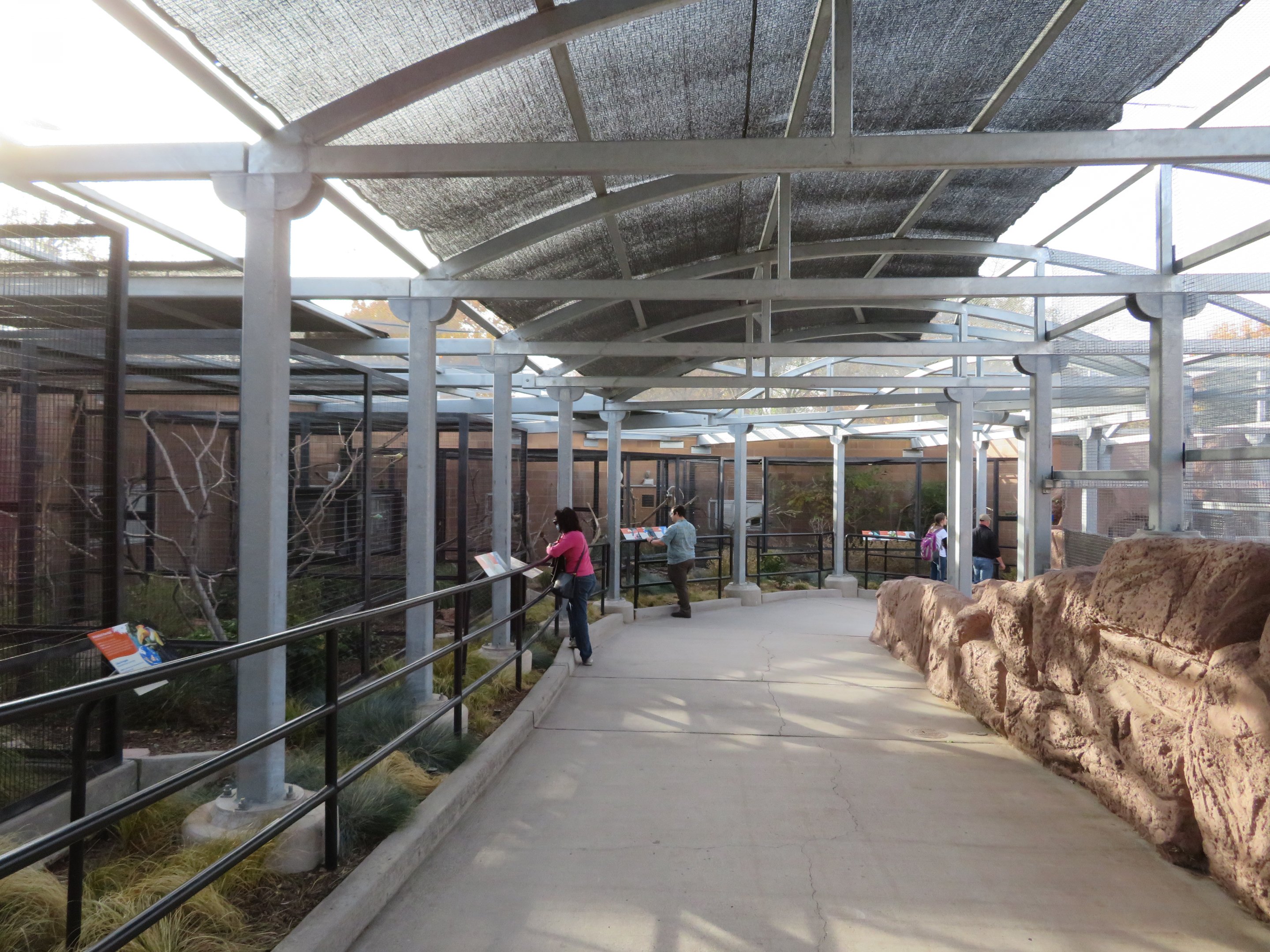 Birds of the Islands