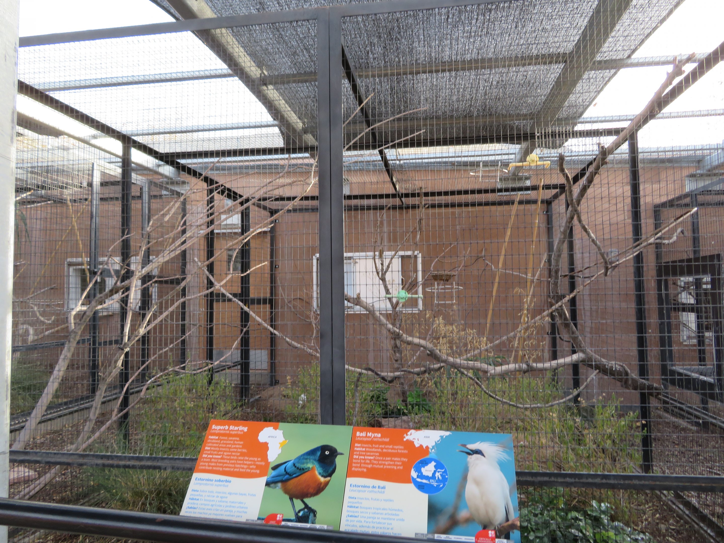 Birds of the Islands