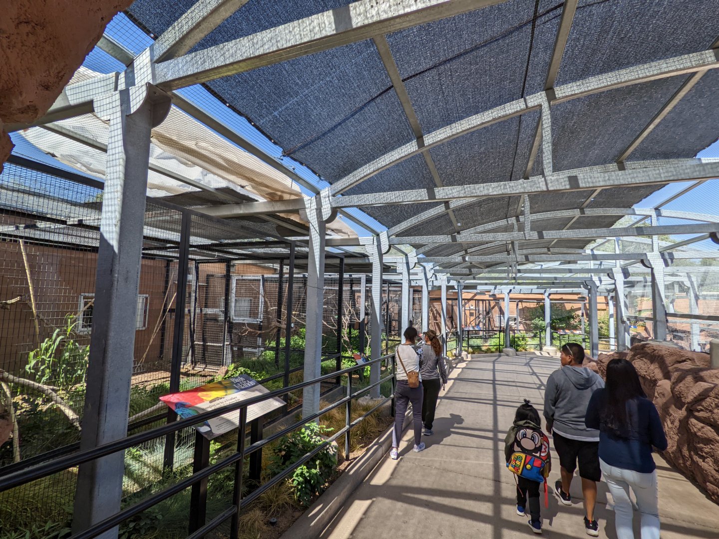 Birds of the islands