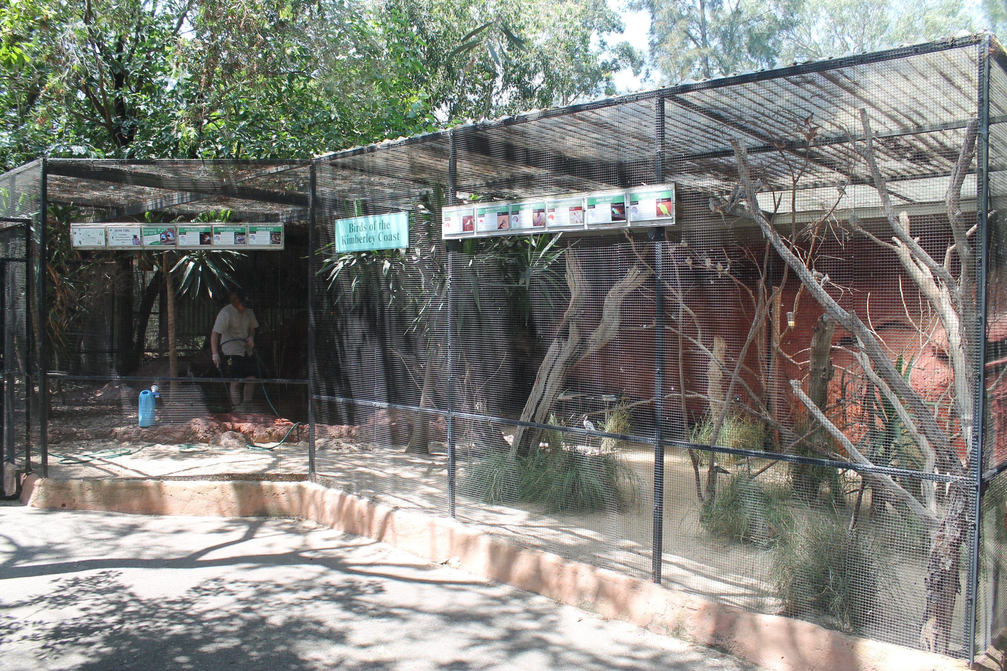 Birds of the Kimberley Coast aviary
