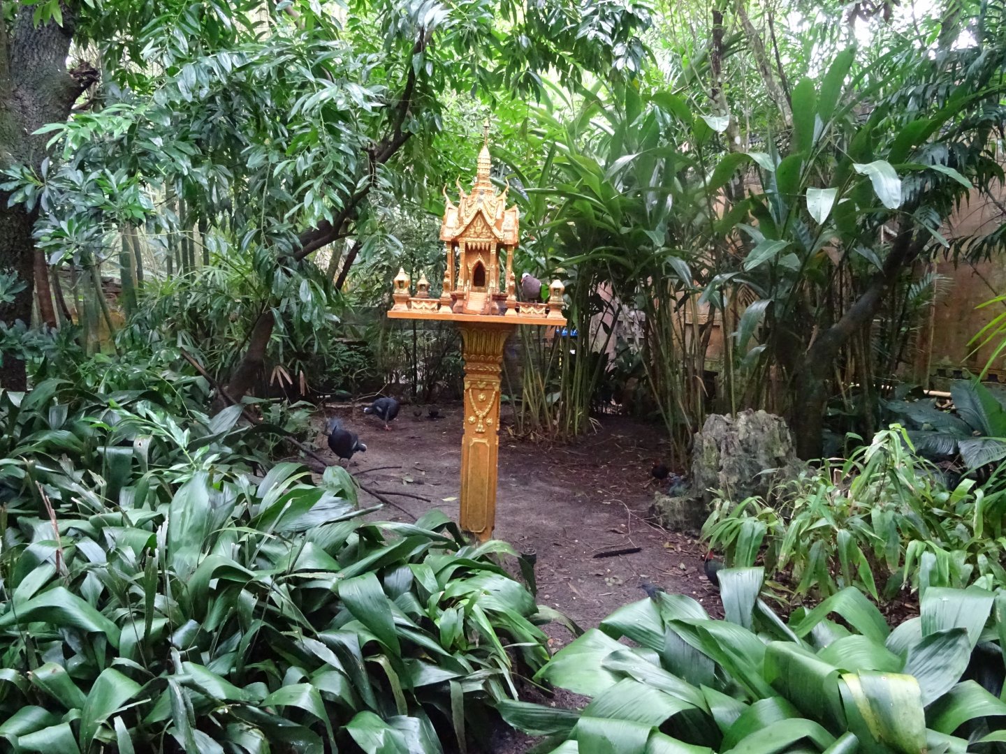 Birds of the Royal Forest at Disney's Animal Kingdom (2014)