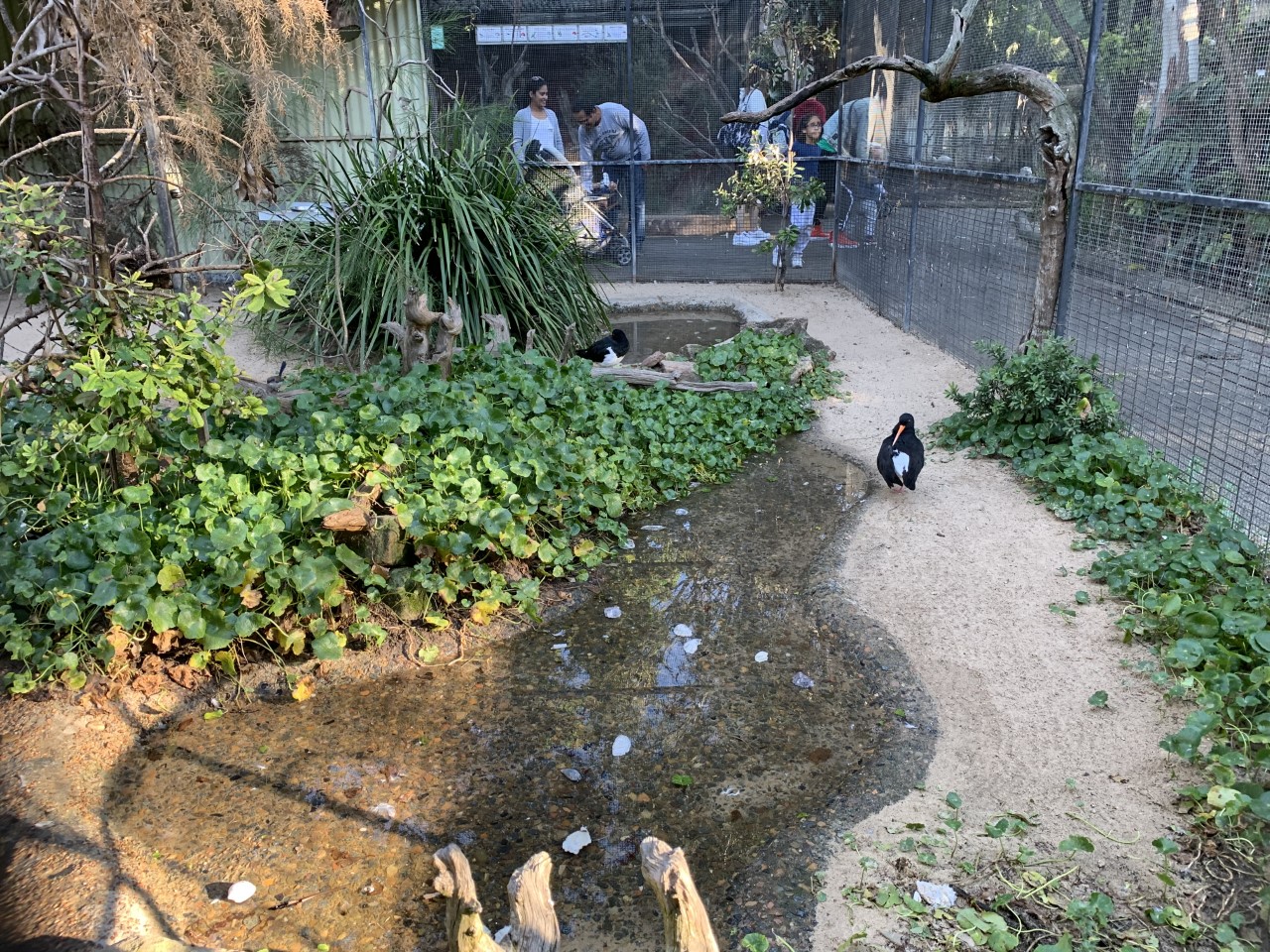 Birds of the Seashore Aviary