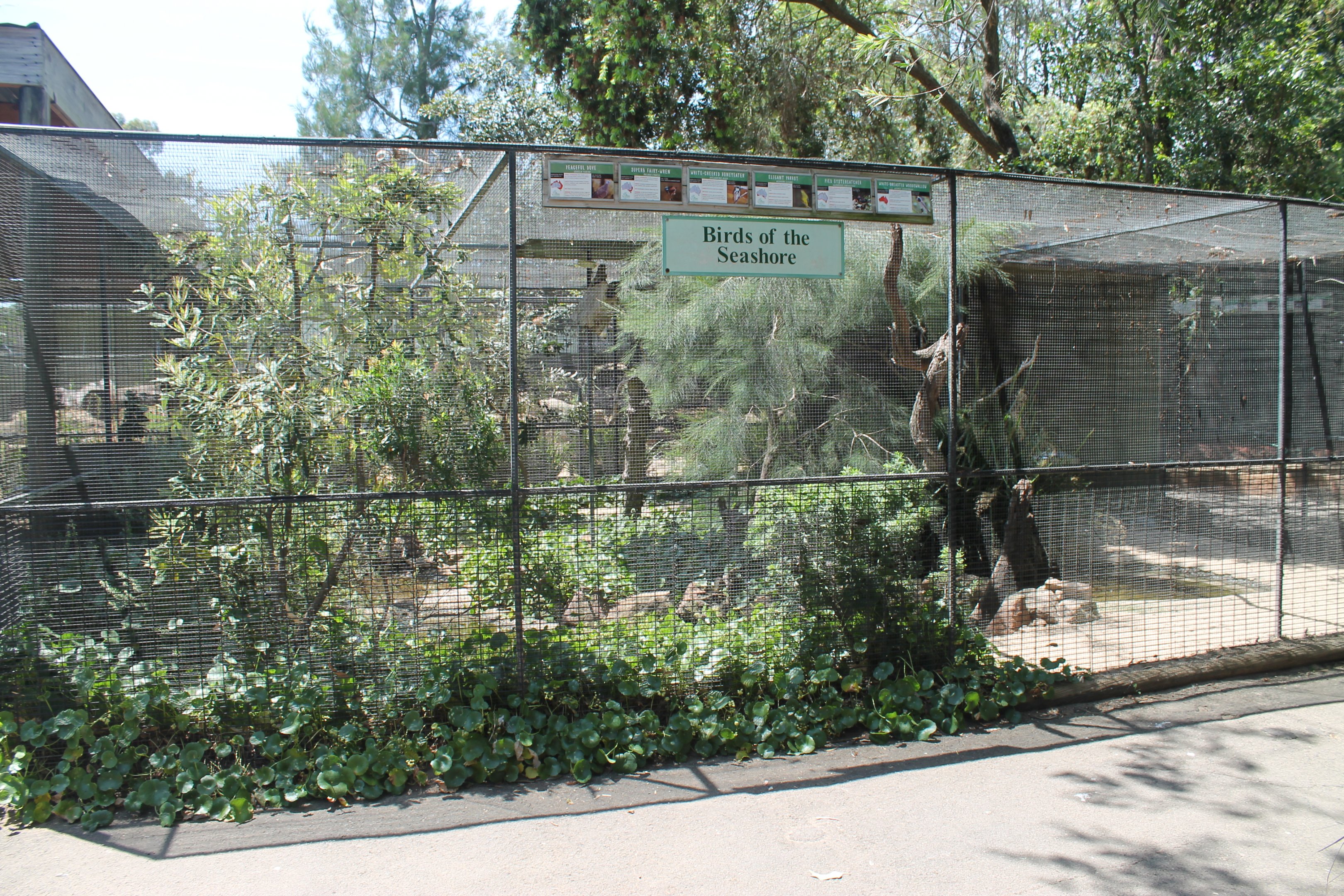 Birds of the Seashore aviary