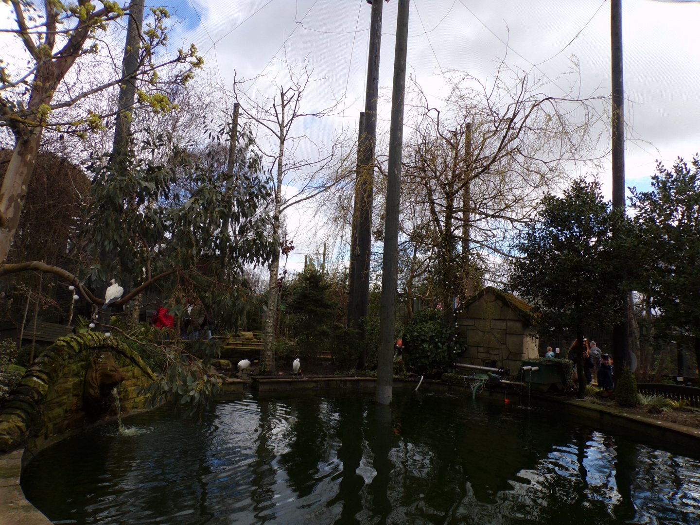 Birds of the world aviary 12.4.24