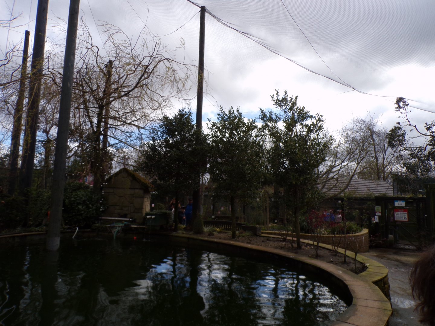 Birds of the world aviary 12.4.24