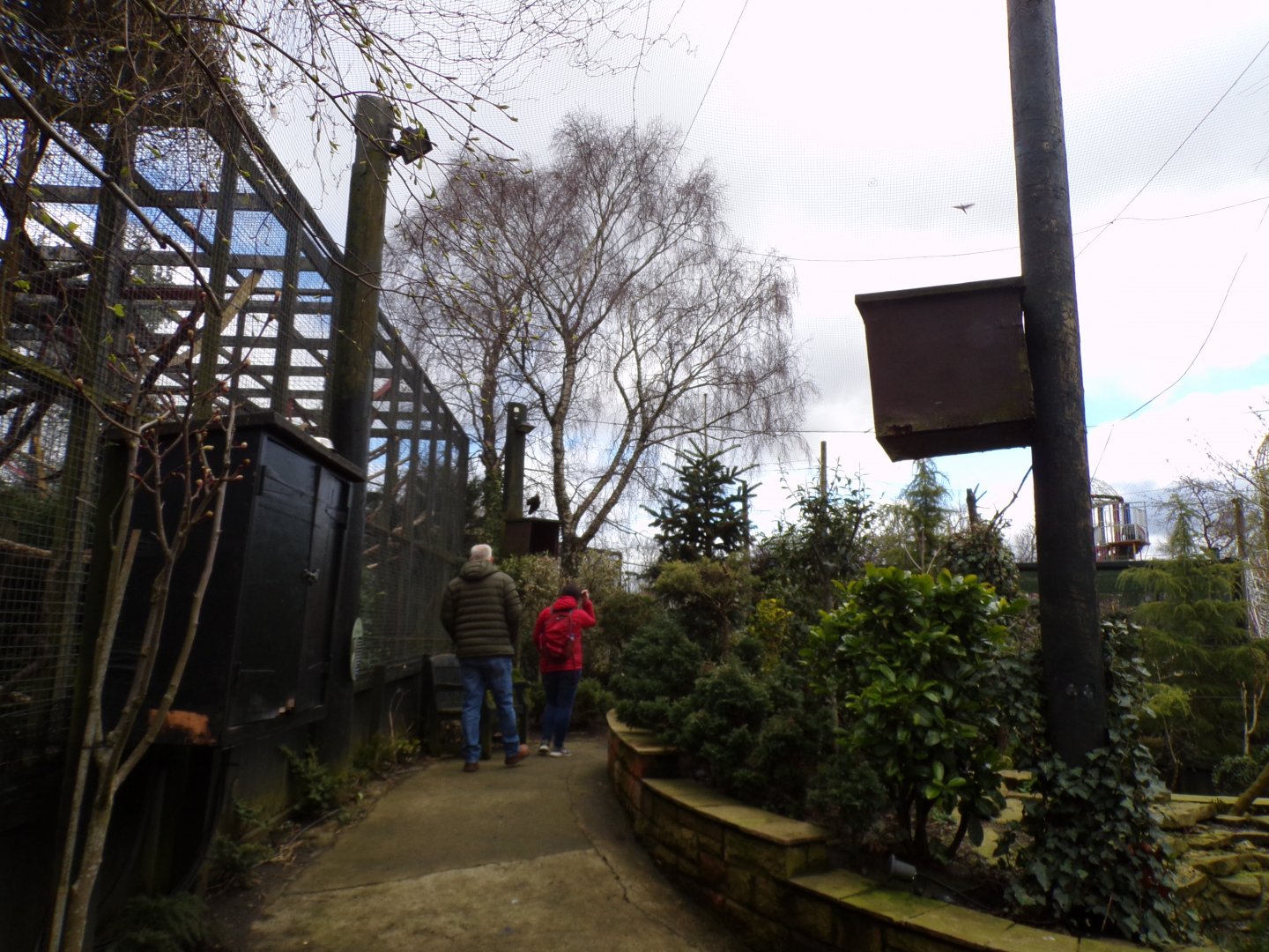 Birds of the world aviary 12.4.24