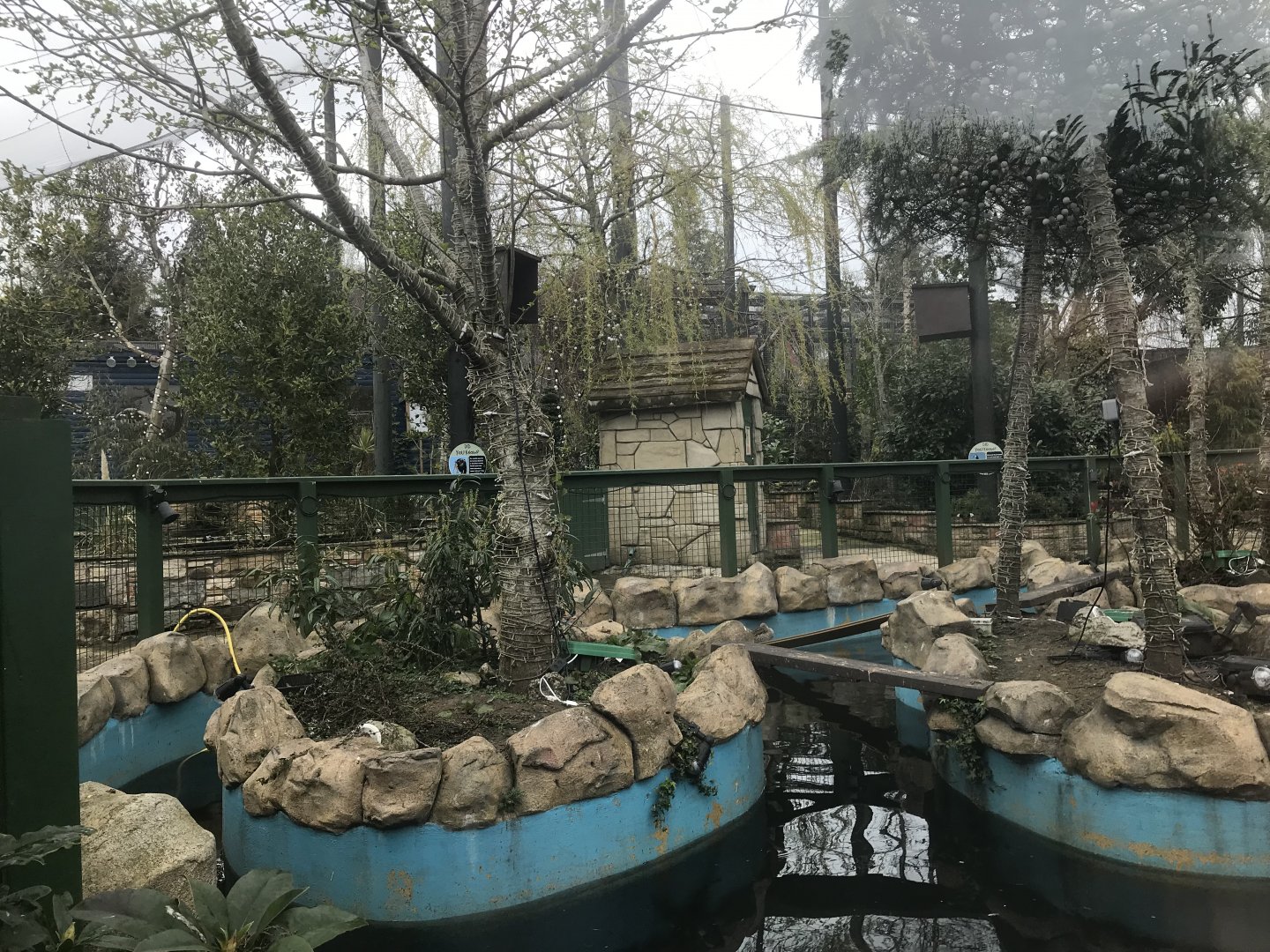 Birds of the world aviary