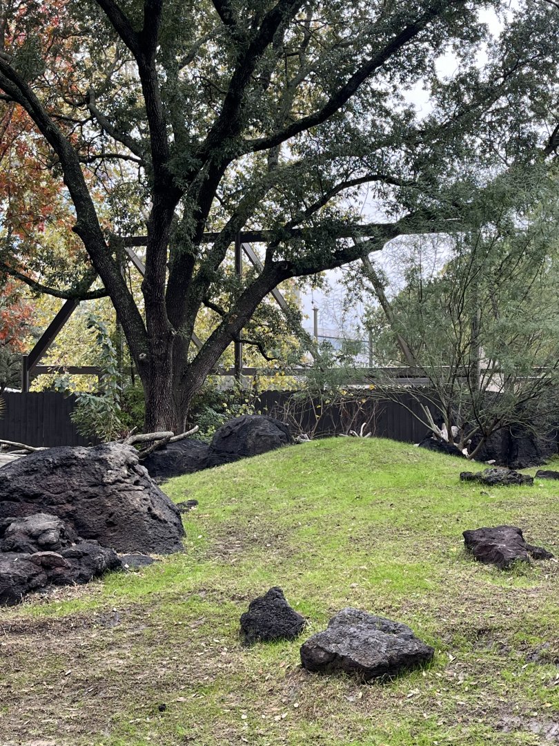 Birds of the World construction