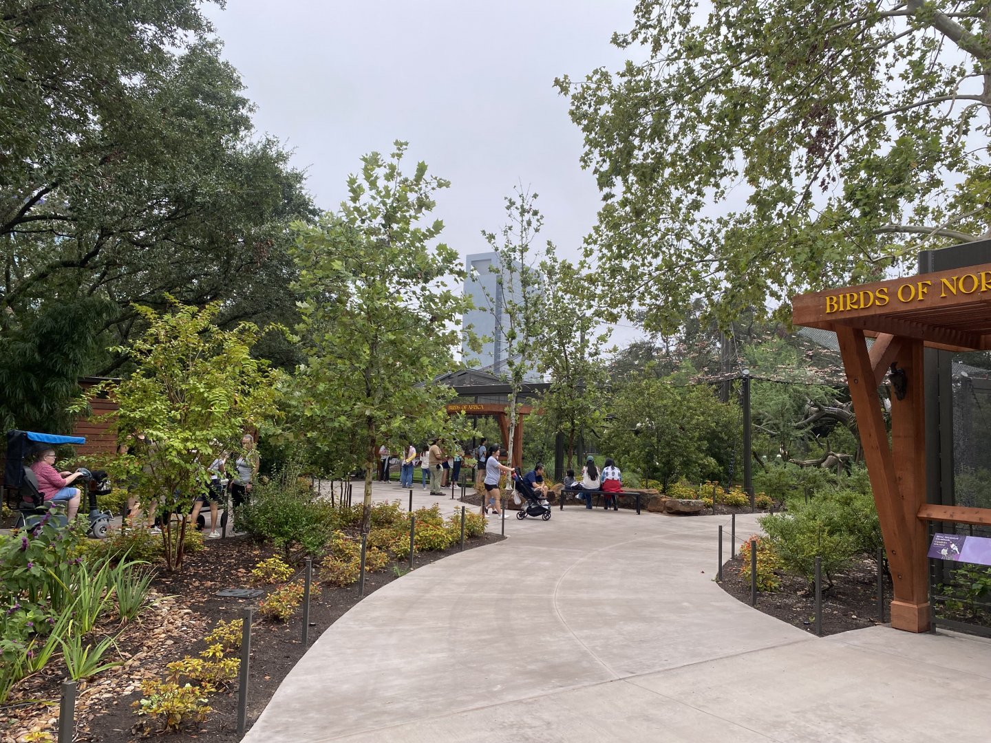 Birds of the World Overlook