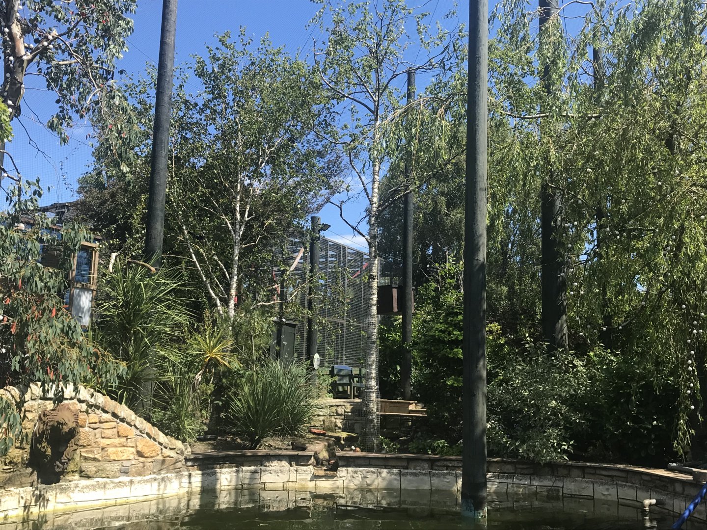 Birds of the world walkthrough aviary (2)