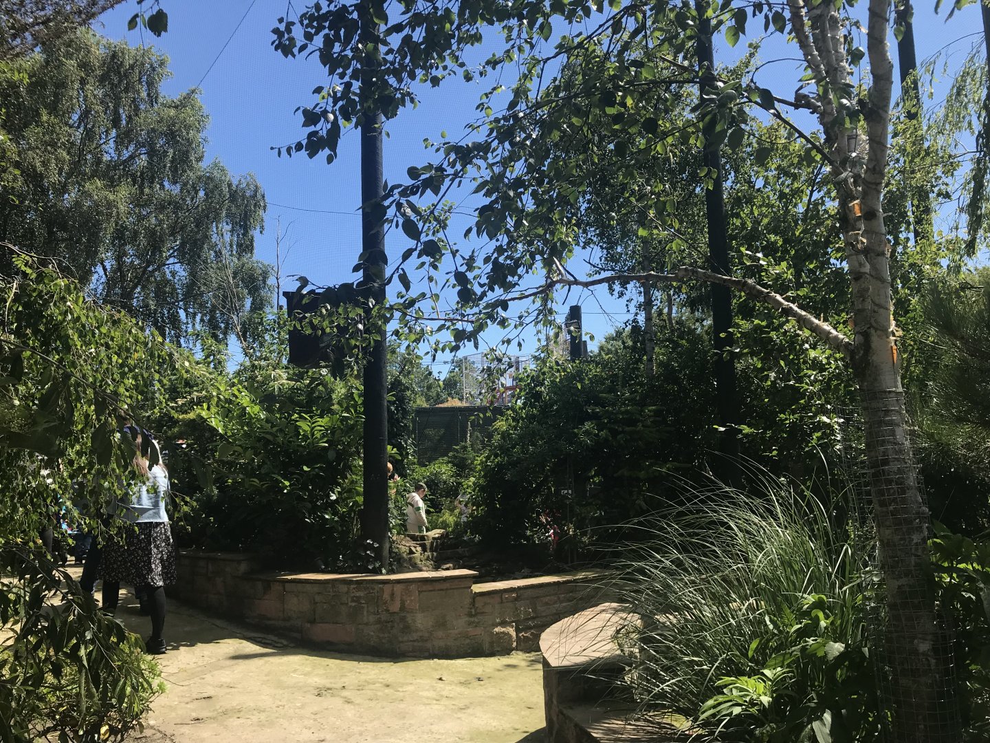 Birds of the world walkthrough aviary (3)