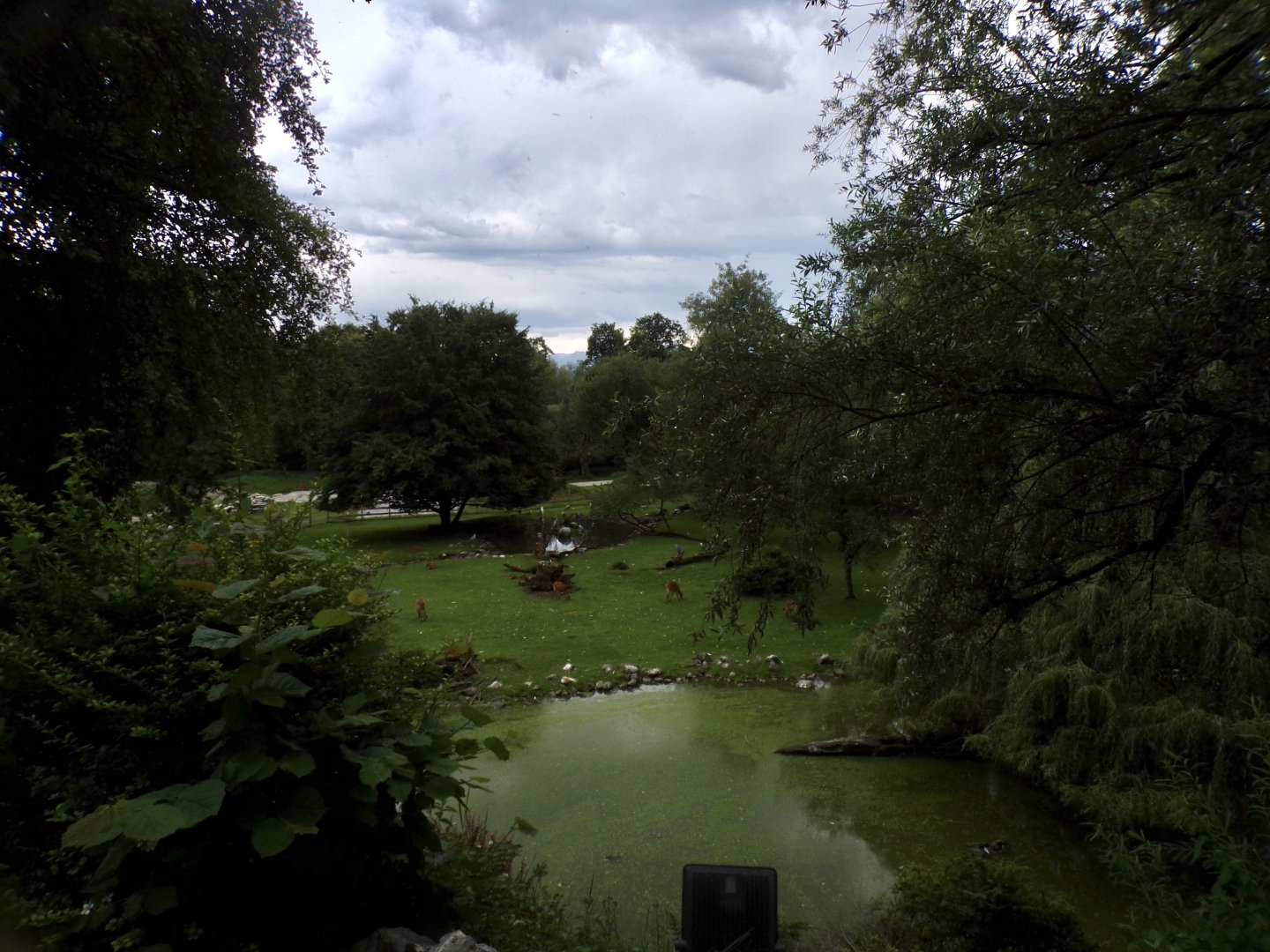 Birds Park enclosure 13.7.25