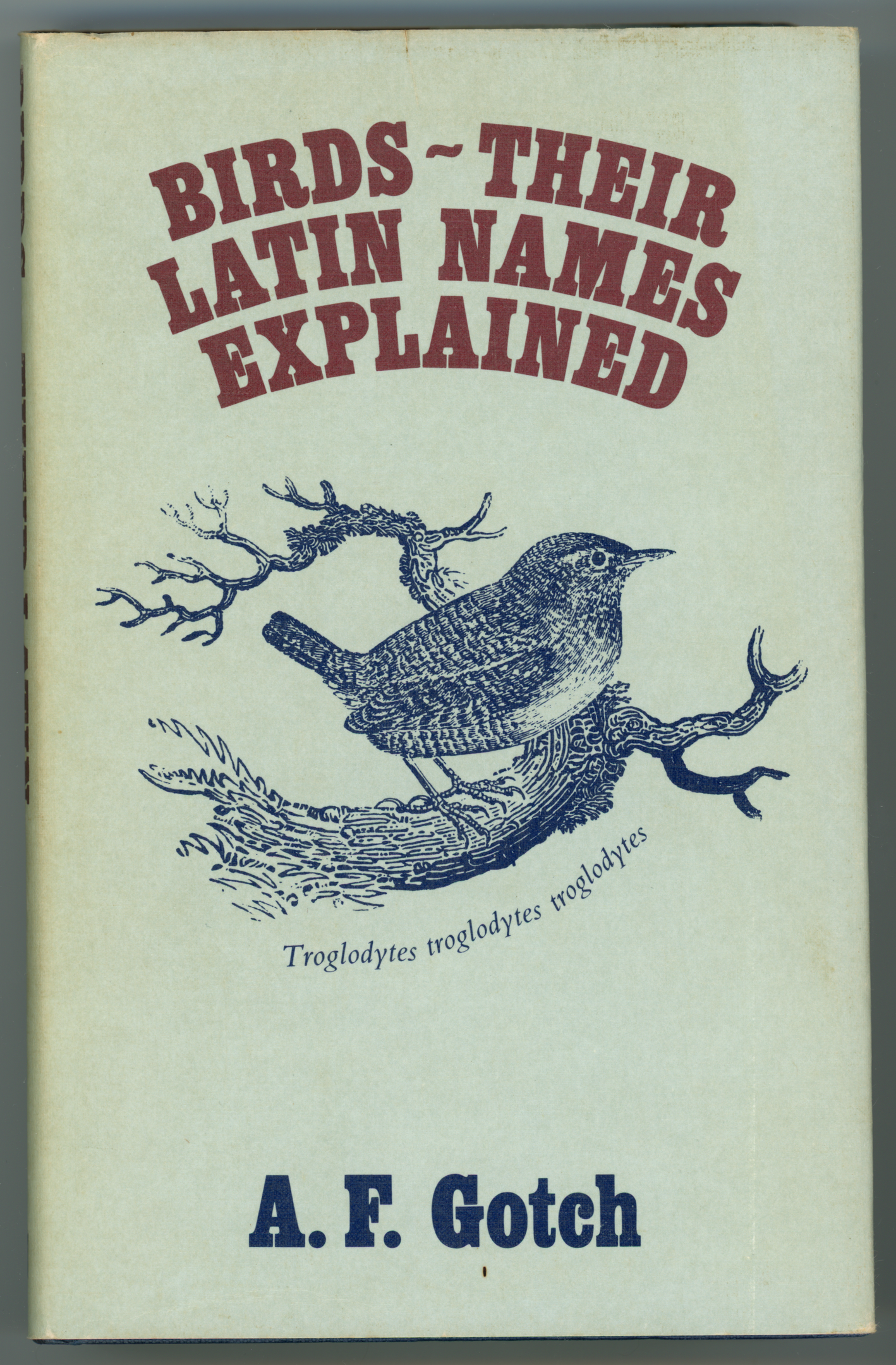 Birds – Their Latin Names Explained