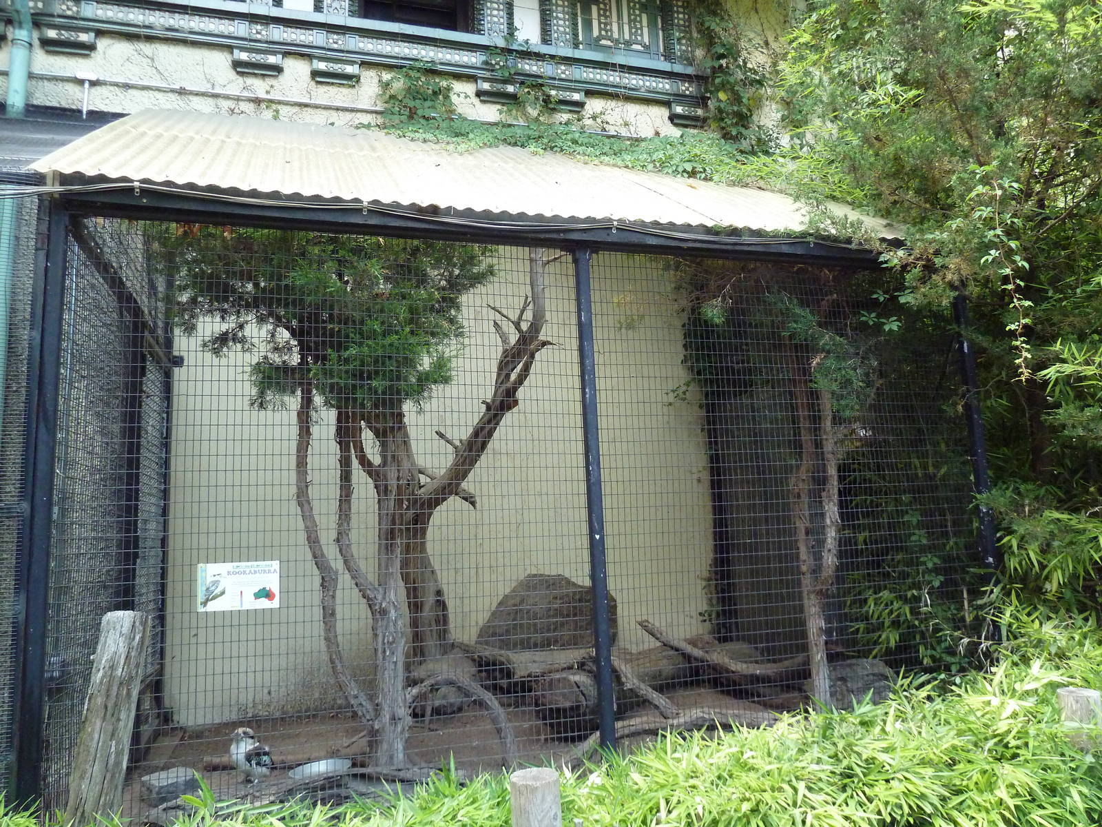 Bird's World (1912 Building) - Kookaburra Exhibit
