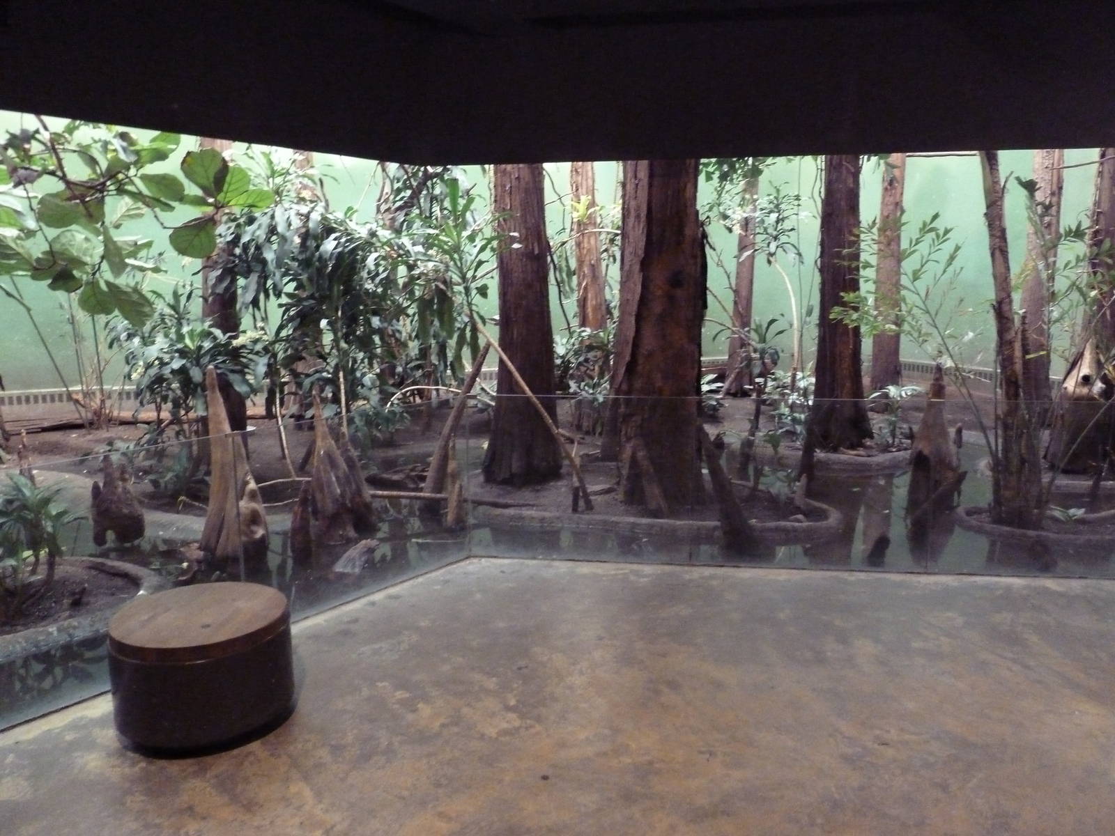 Bird's World (1912 Building)