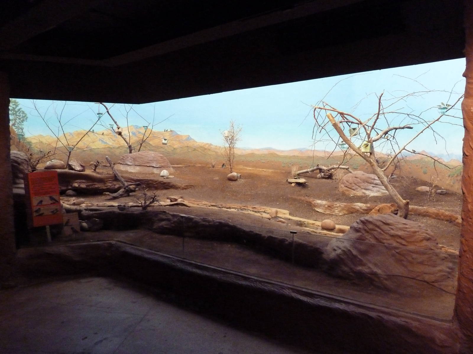 Bird's World (1912 Building)