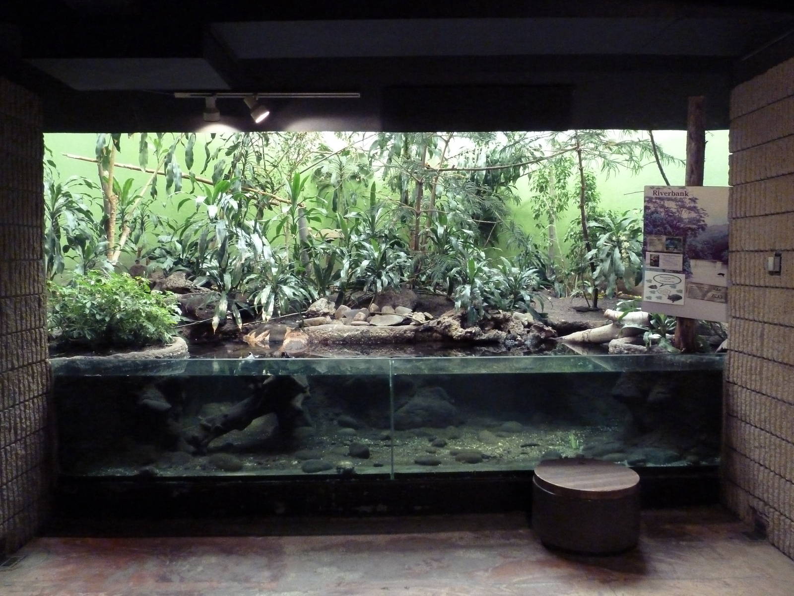 Bird's World (1912 Building)