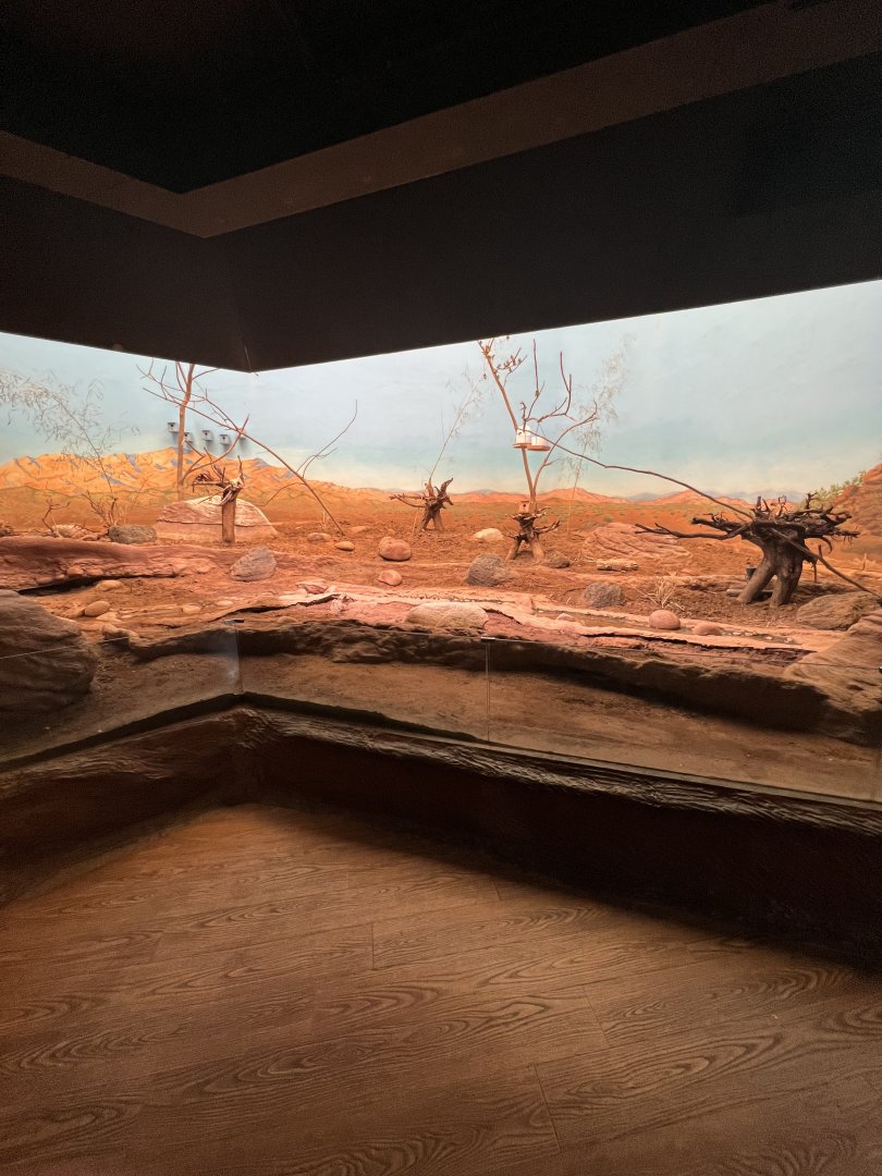 Bird’s World Desert area