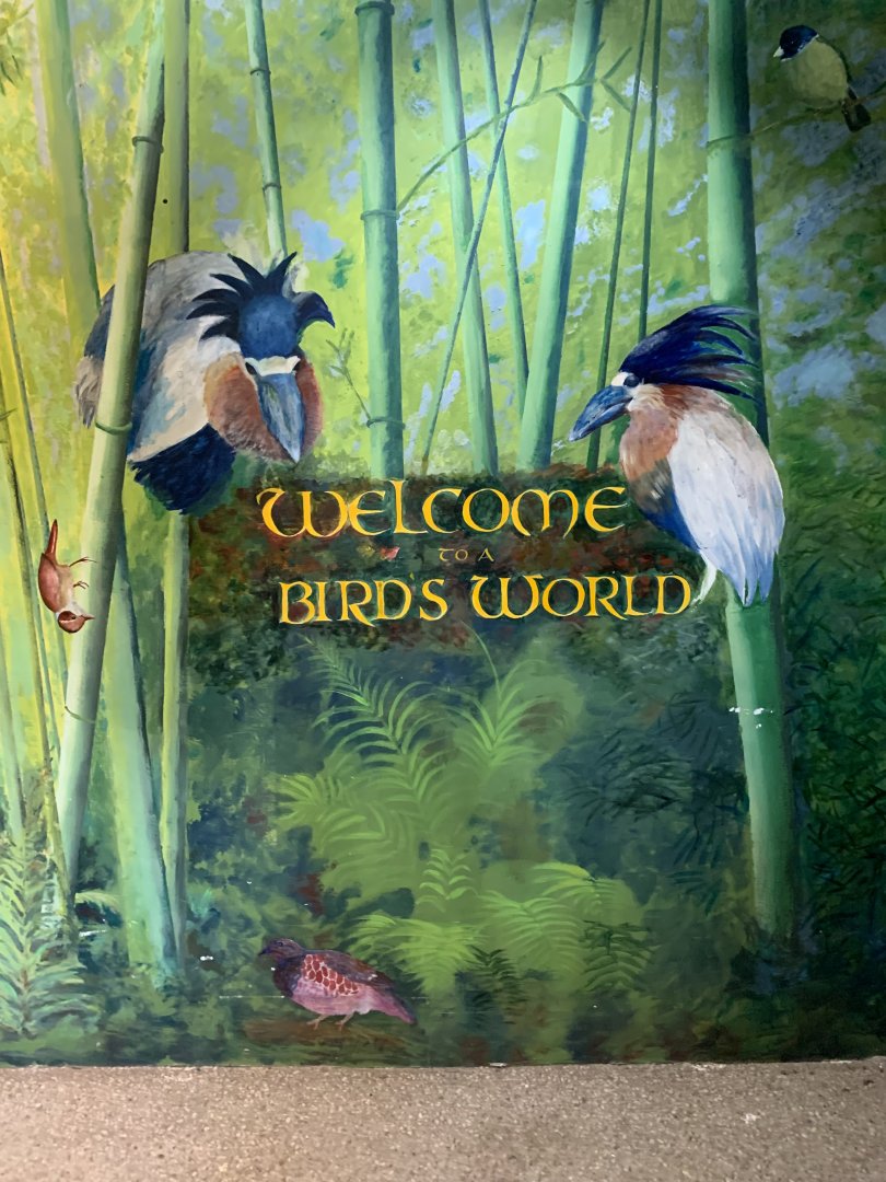 Birds World entrance